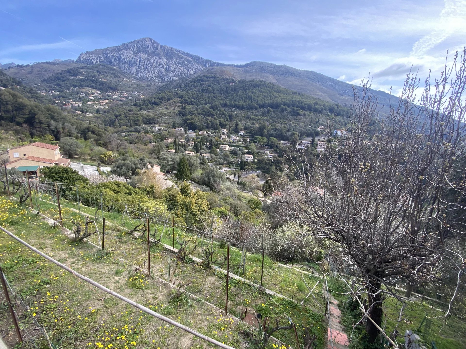 Menton Maison avec beau terrain proche centre