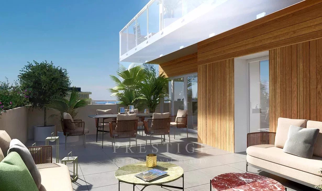 Nice, 2 bedrooms flat, top floor,  terrace sea view & parking