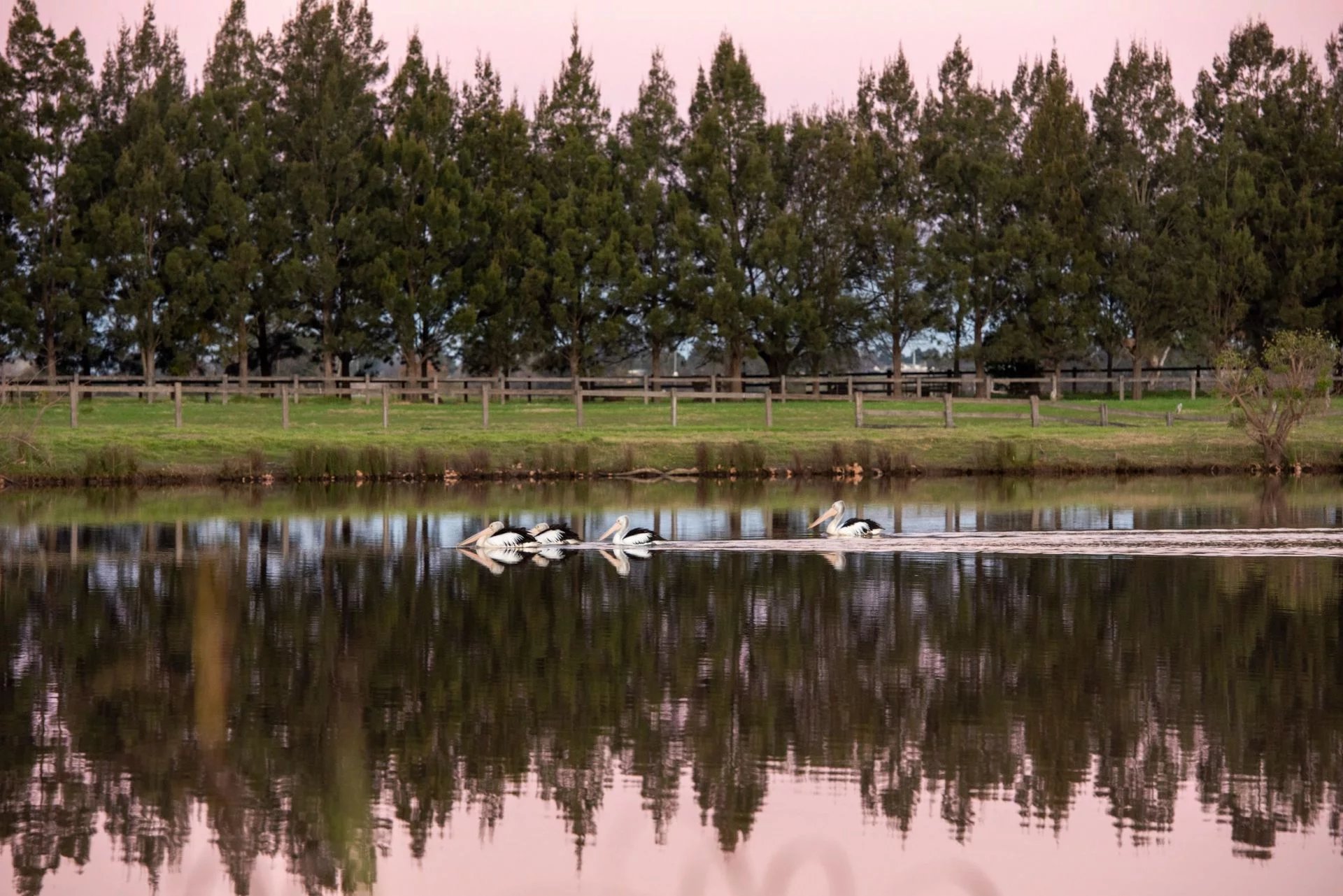 sydney-s premier polo club in an idyllic setting by the hawkesbury river image16