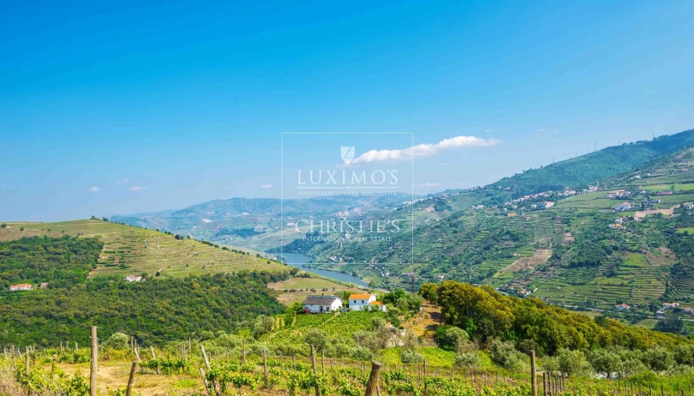 5-star vineyard, in the douro valley, north of portugal image40