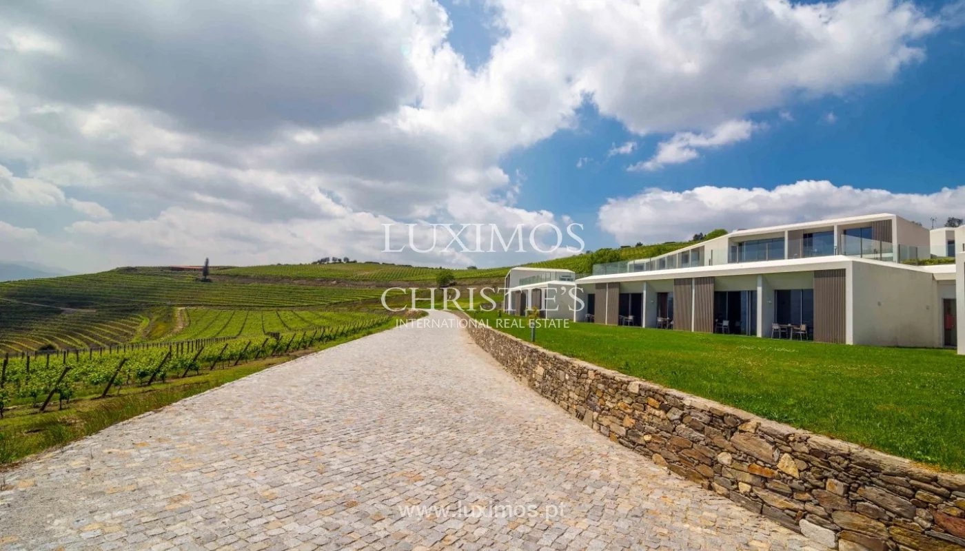 5-star vineyard, in the douro valley, north of portugal image6