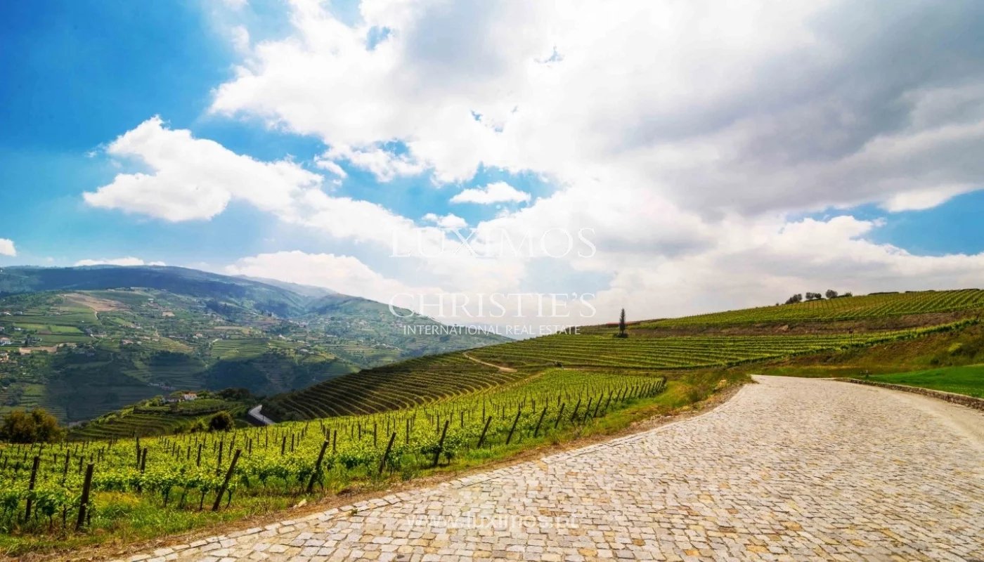 5-star vineyard, in the douro valley, north of portugal image7