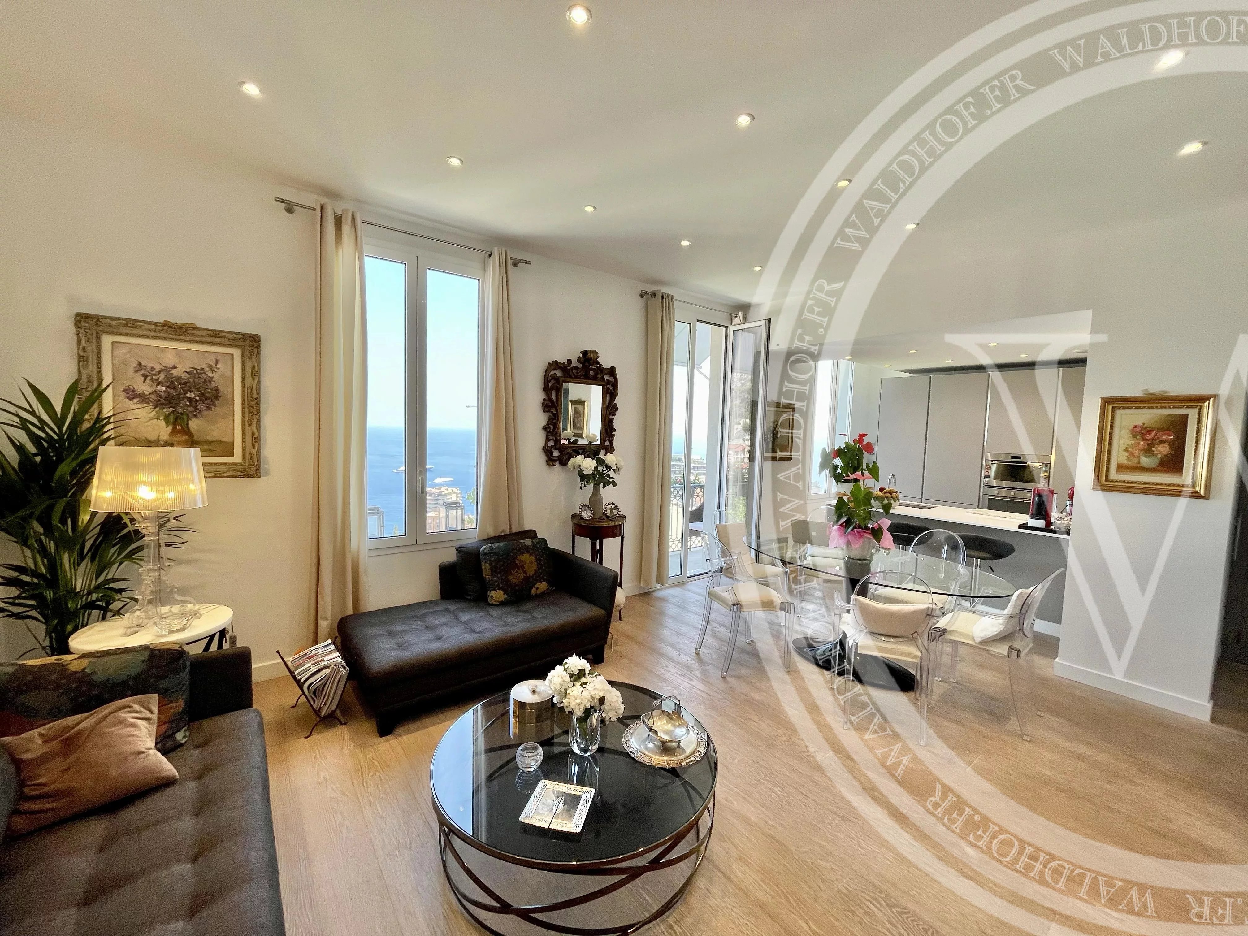 Charming 2 bedroom villa overlooking Monaco