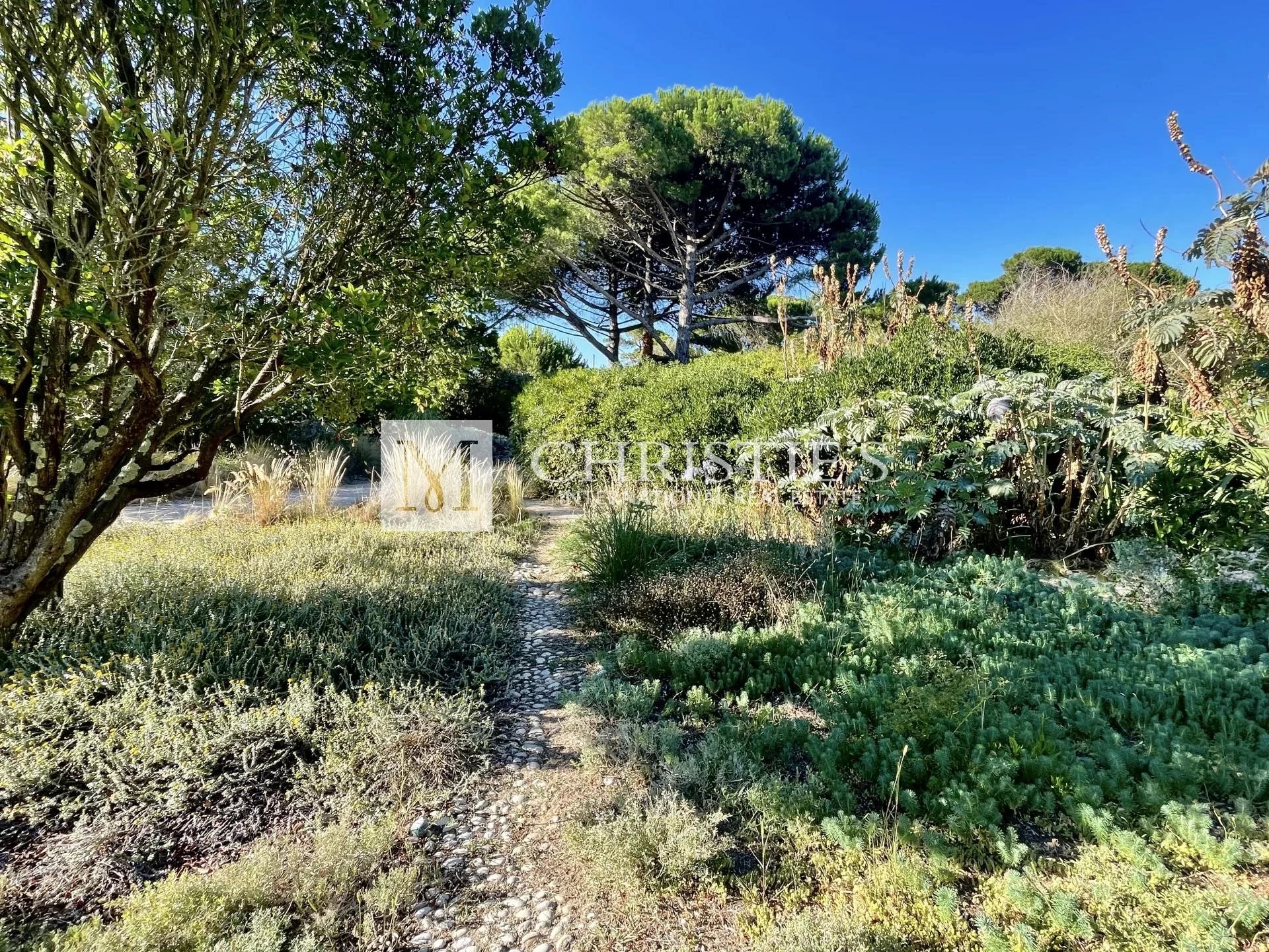 For sale outstanding property overlooking the Bay of Les Portes en Ré