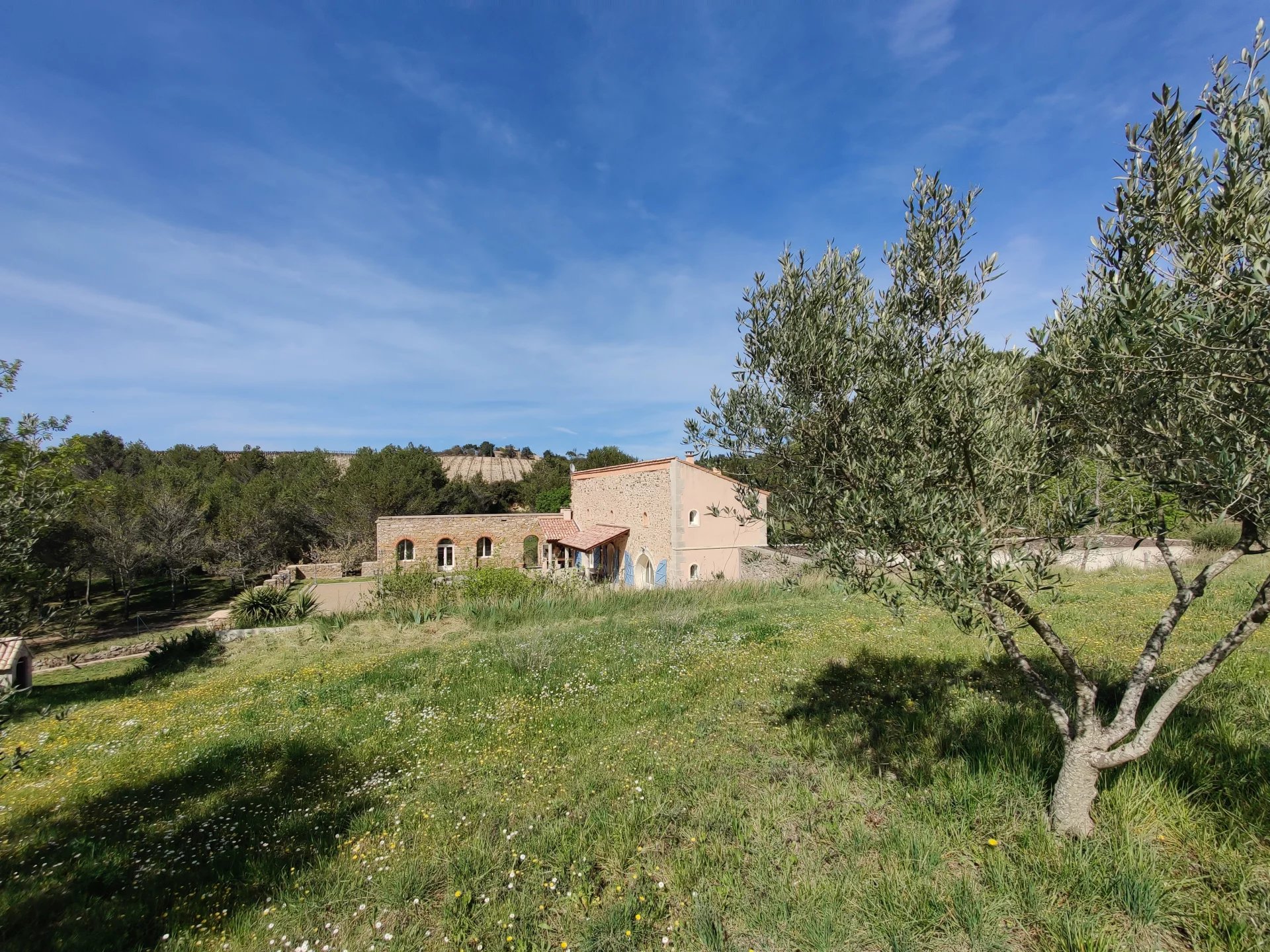 Historic renovated villa surrounded by olive trees and vineyards less than 1 hour from the Med sea