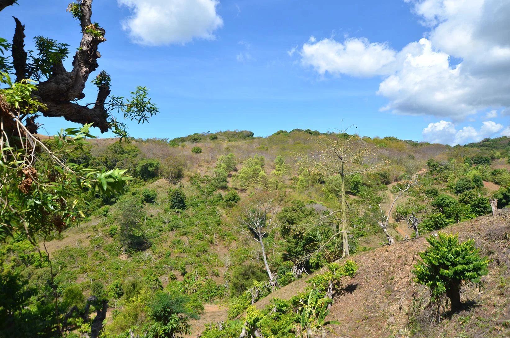 Sale Plot of land - Nosy Be - Madagascar