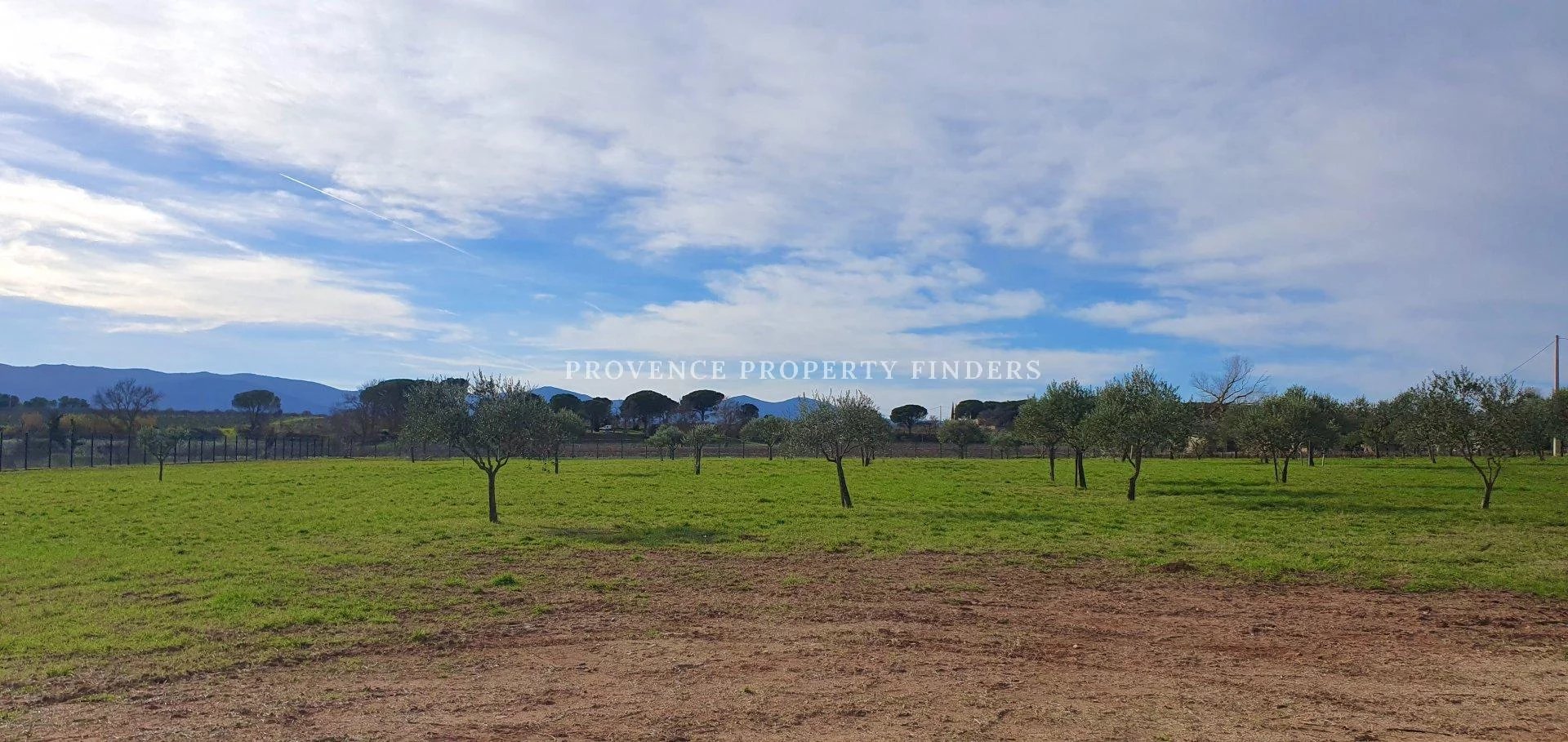 Beautiful estate with vineyard and olive grove.
