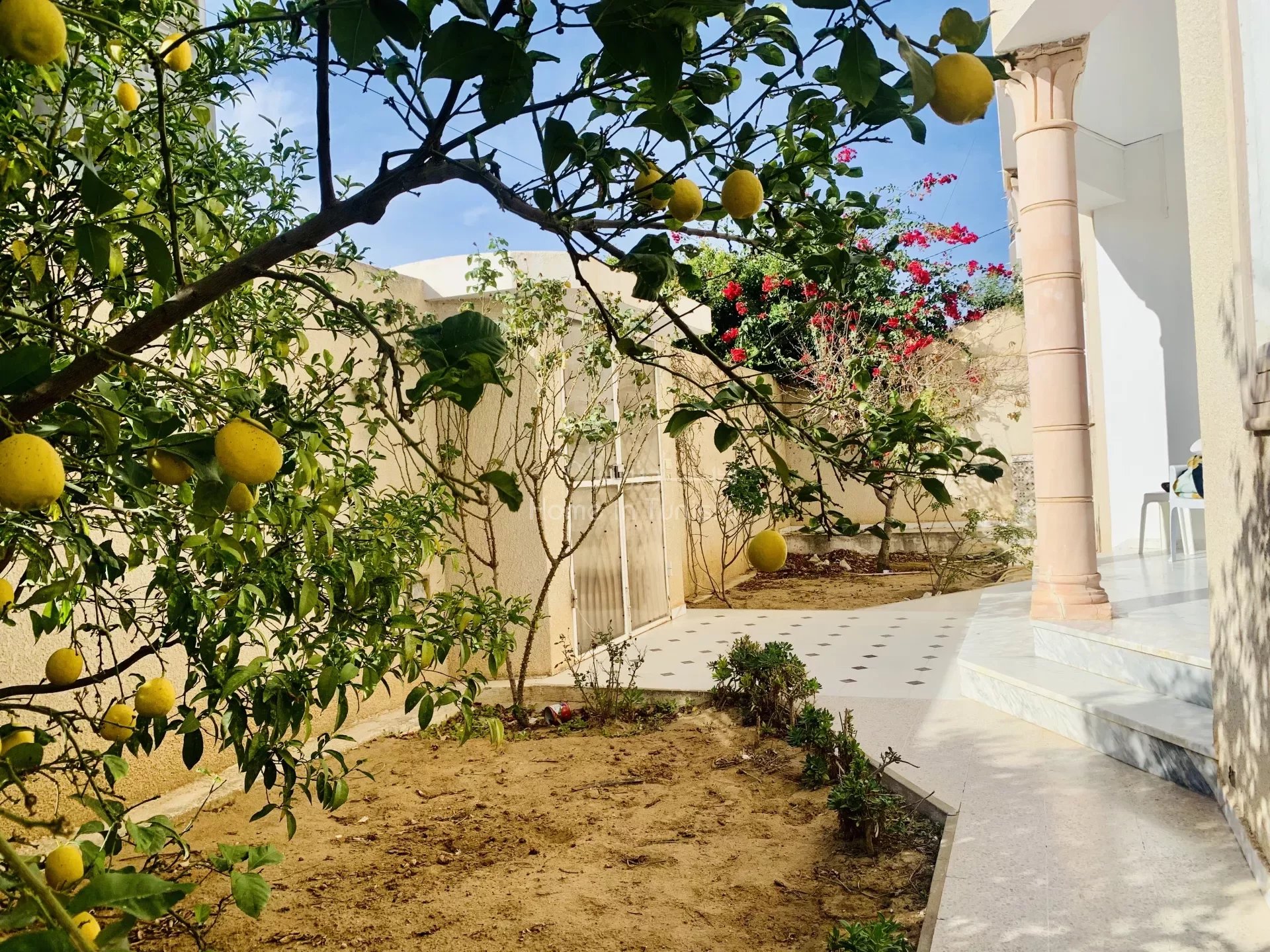 Villa S+5 indépendante avec jardin  - En vente