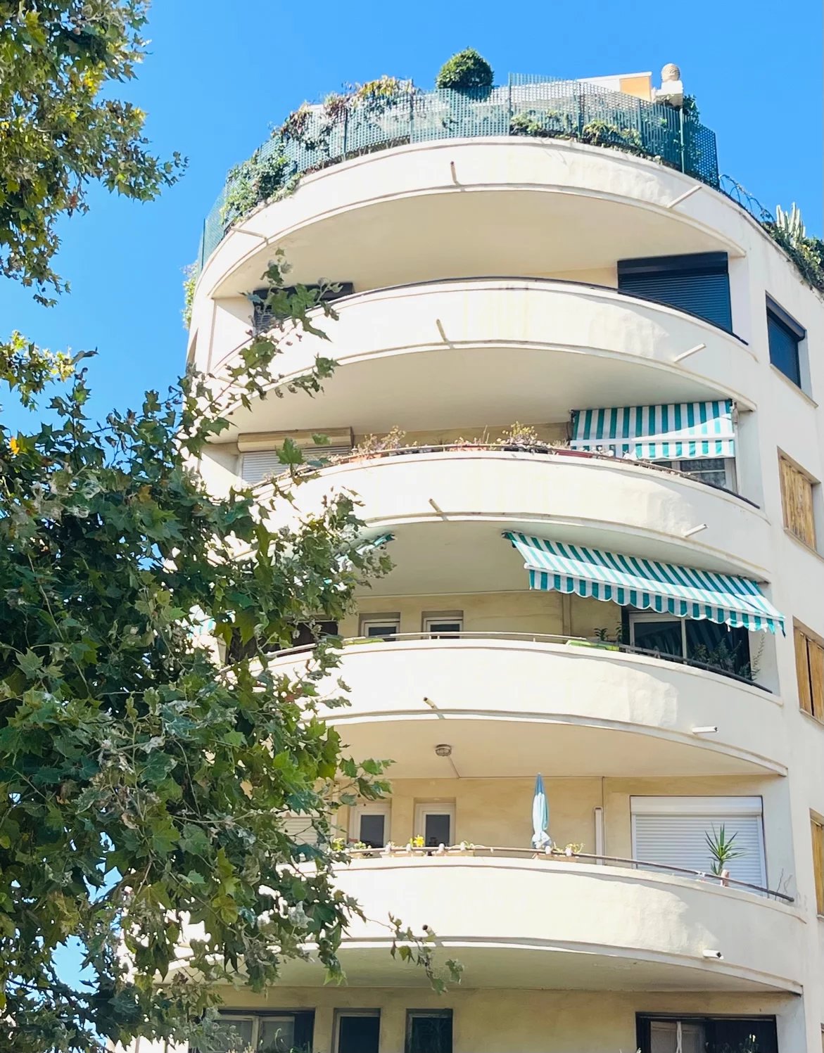 Vendita Appartamento - Nizza (Nice) Cimiez