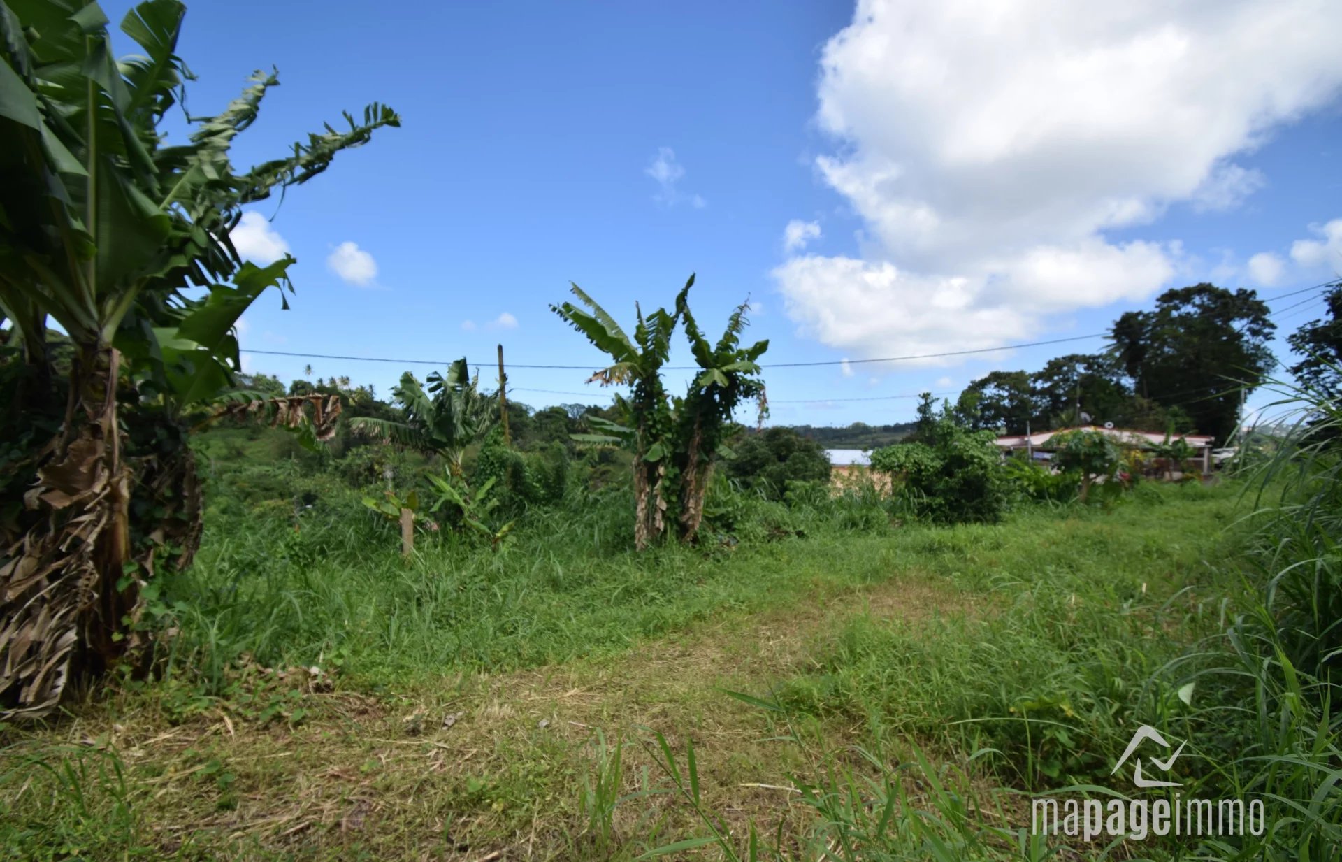 Sale Plot of land - Saint-Joseph - Martinique