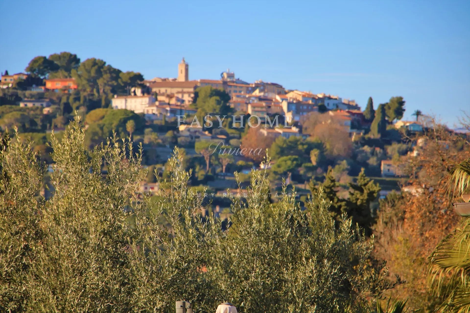 Purchase / Sale villa Mougins with a village view