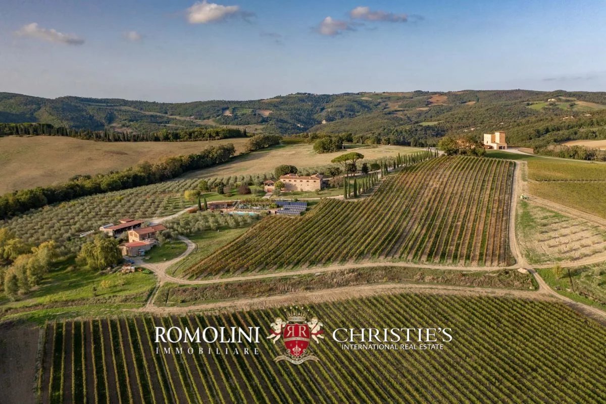 tuscany - state-of-the-art 125-ha organic winery for sale in volterra image2