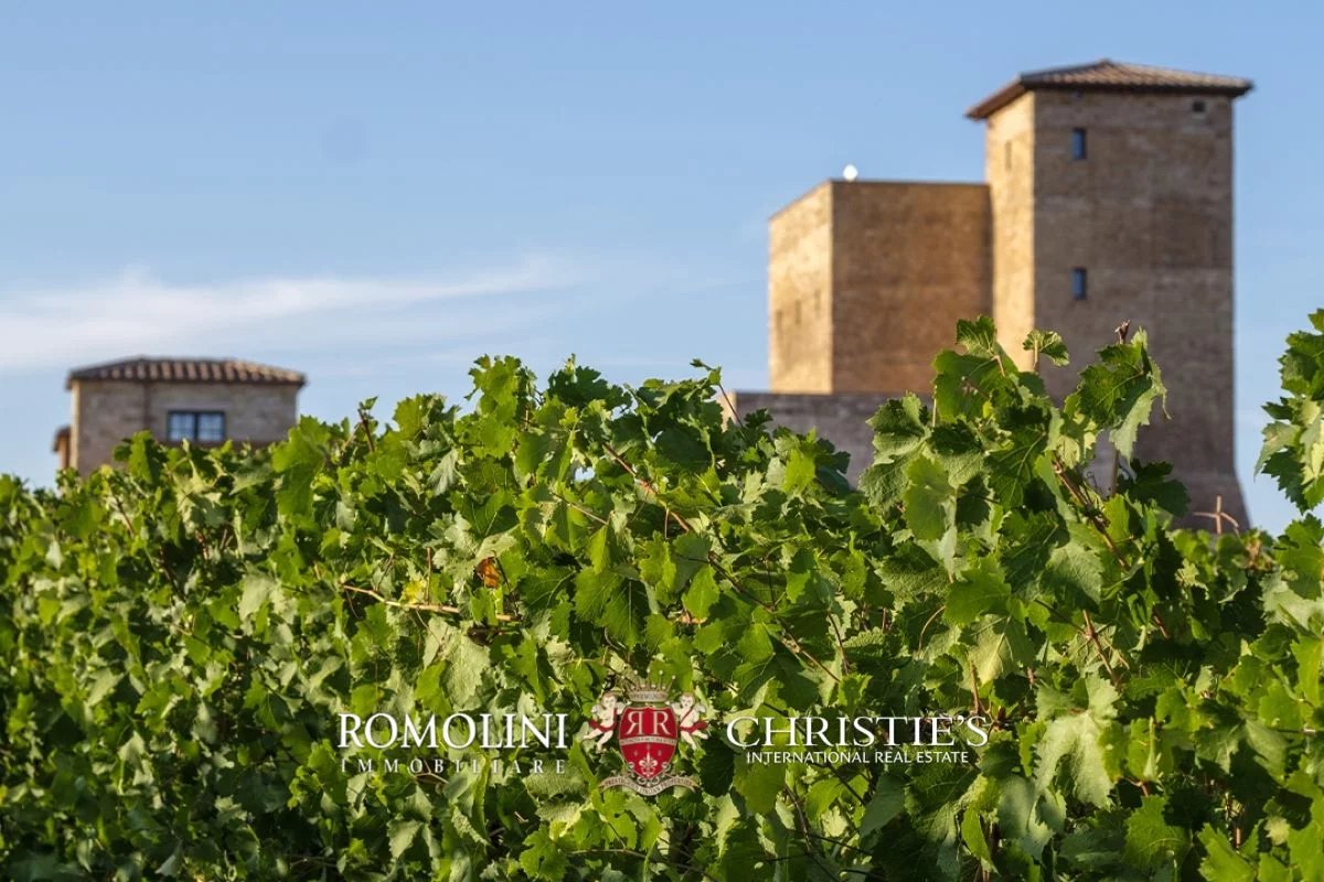 tuscany - state-of-the-art 125-ha organic winery for sale in volterra image31