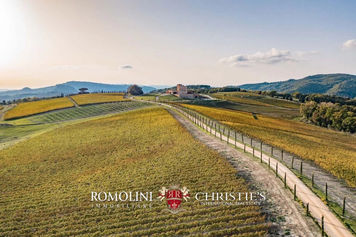 tuscany - state-of-the-art 125-ha organic winery for sale in volterra image19