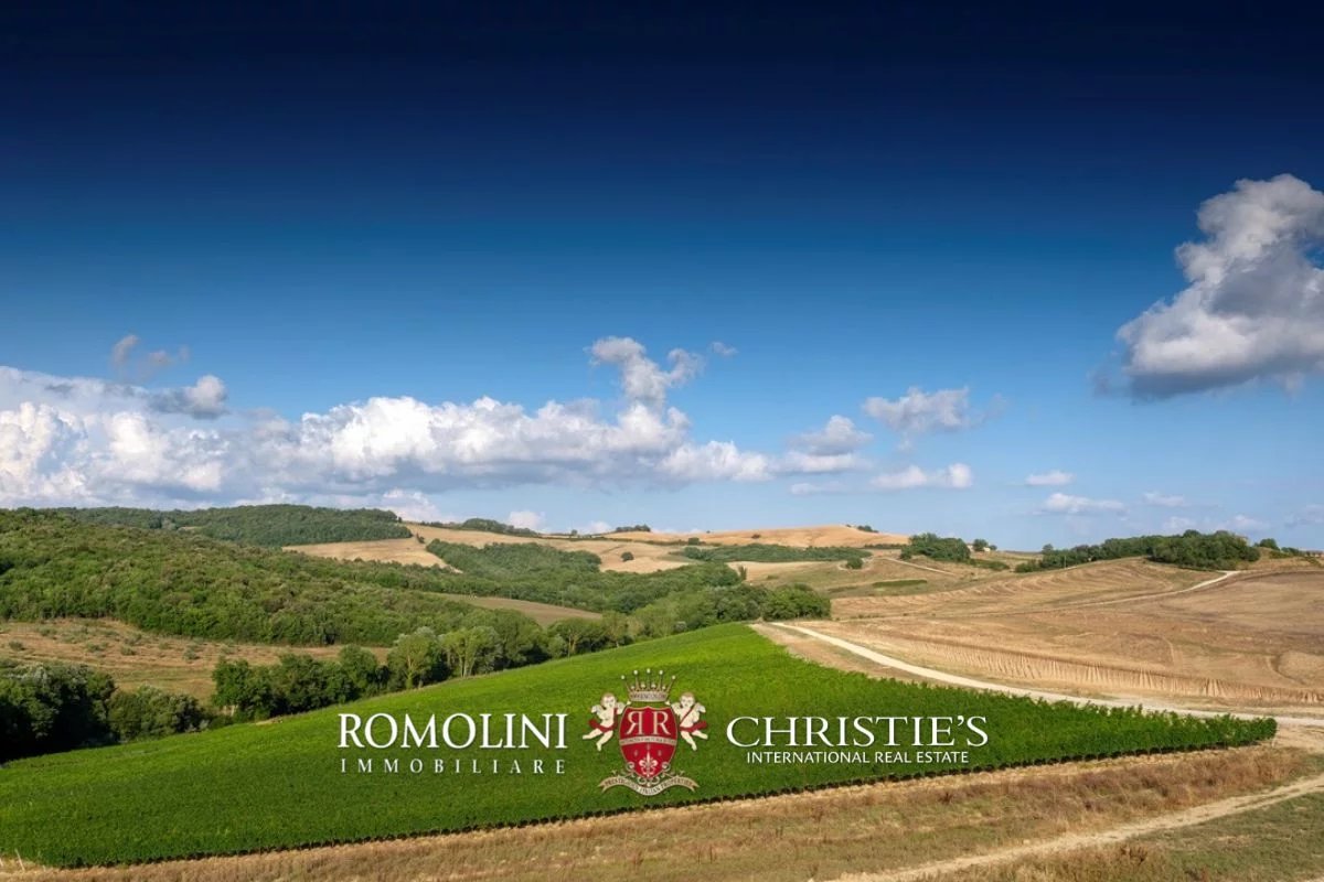 tuscany - state-of-the-art 125-ha organic winery for sale in volterra image30