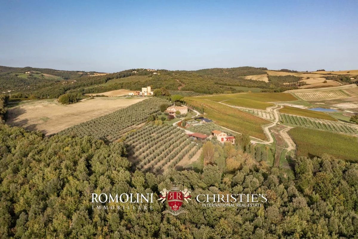tuscany - state-of-the-art 125-ha organic winery for sale in volterra image16
