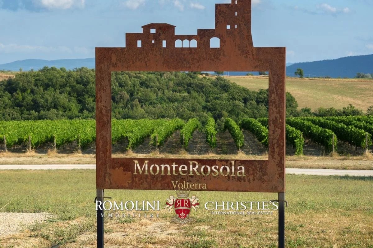 tuscany - state-of-the-art 125-ha organic winery for sale in volterra image27
