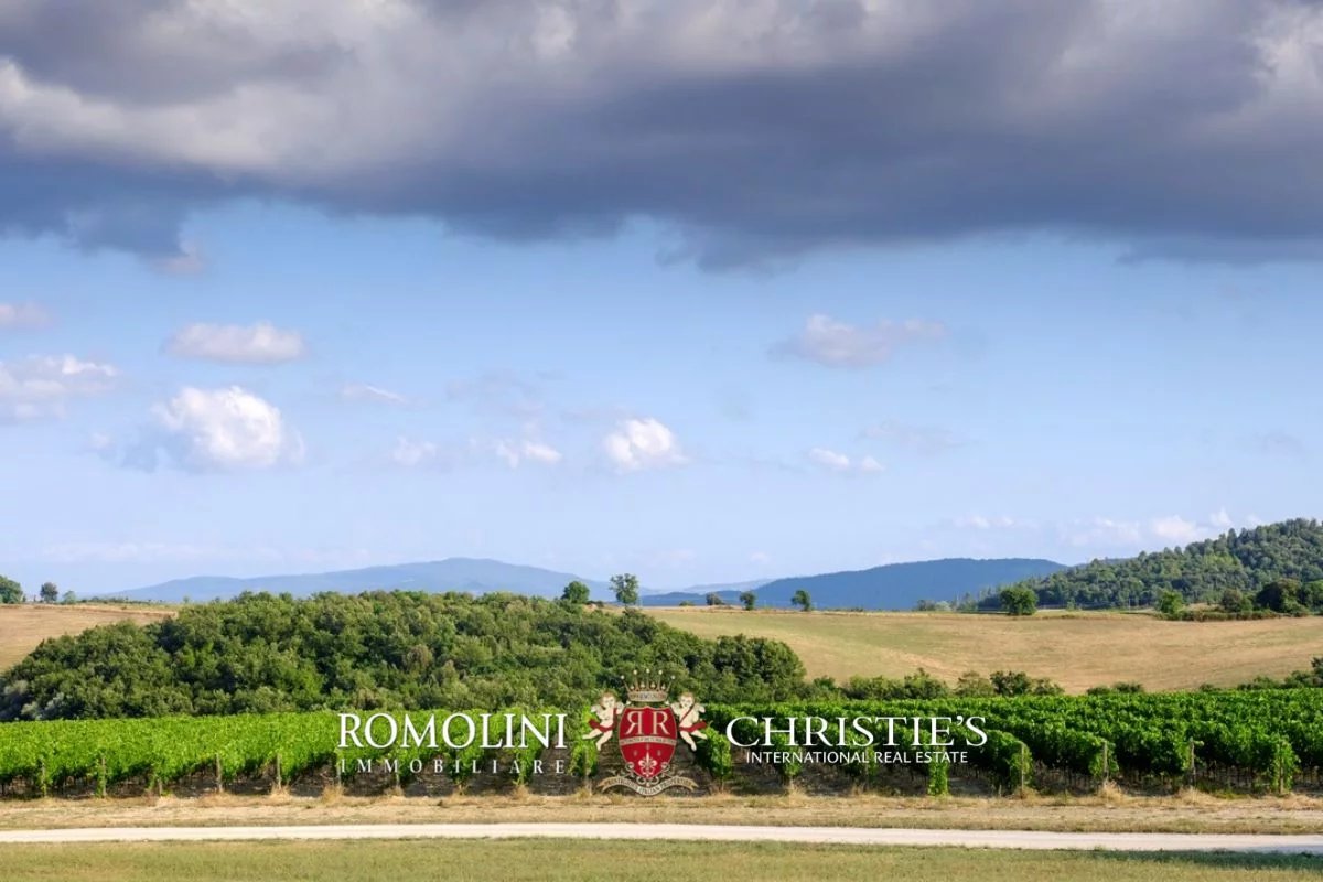tuscany - state-of-the-art 125-ha organic winery for sale in volterra image29