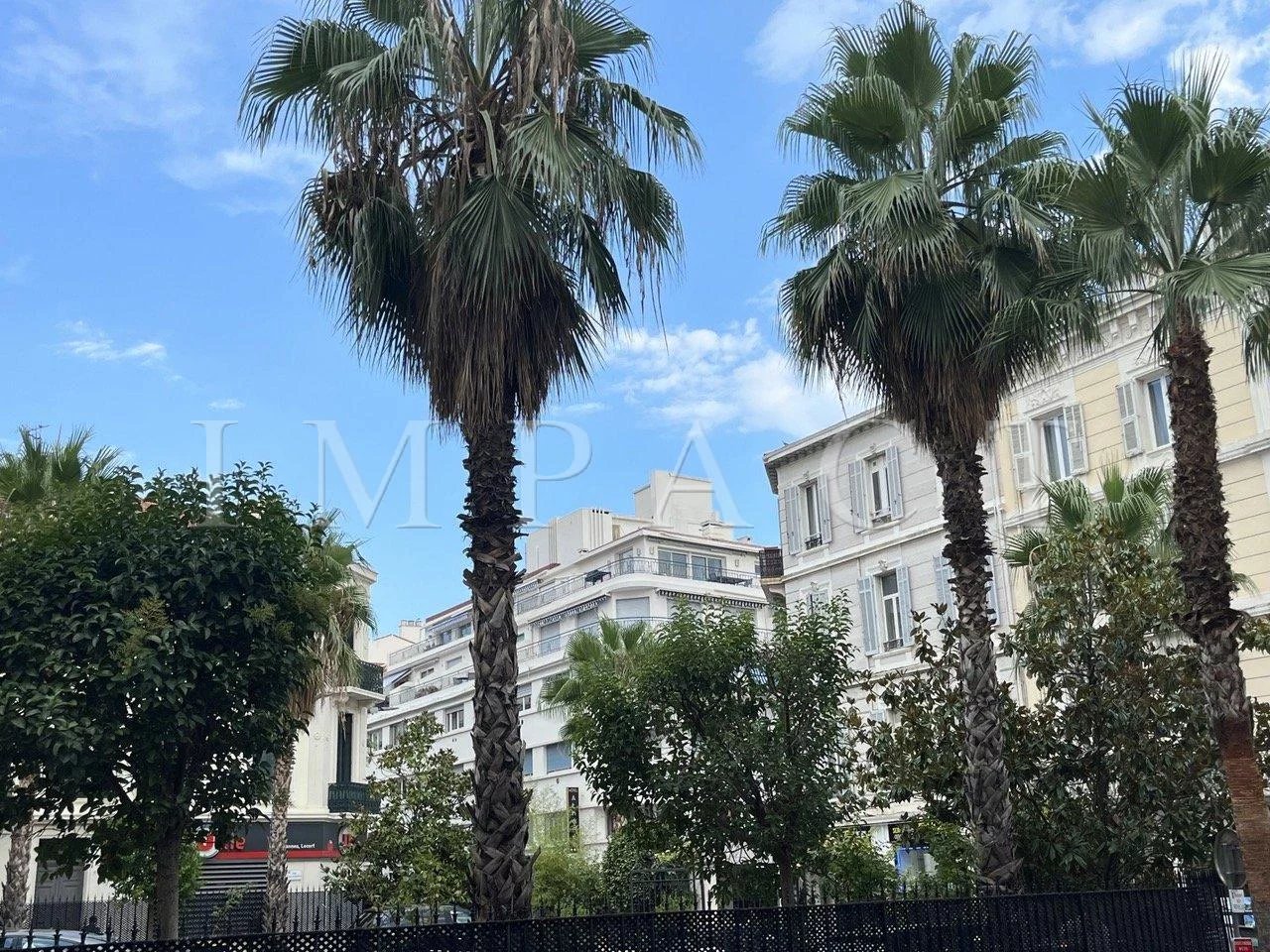 Cannes bananes apartment for rent