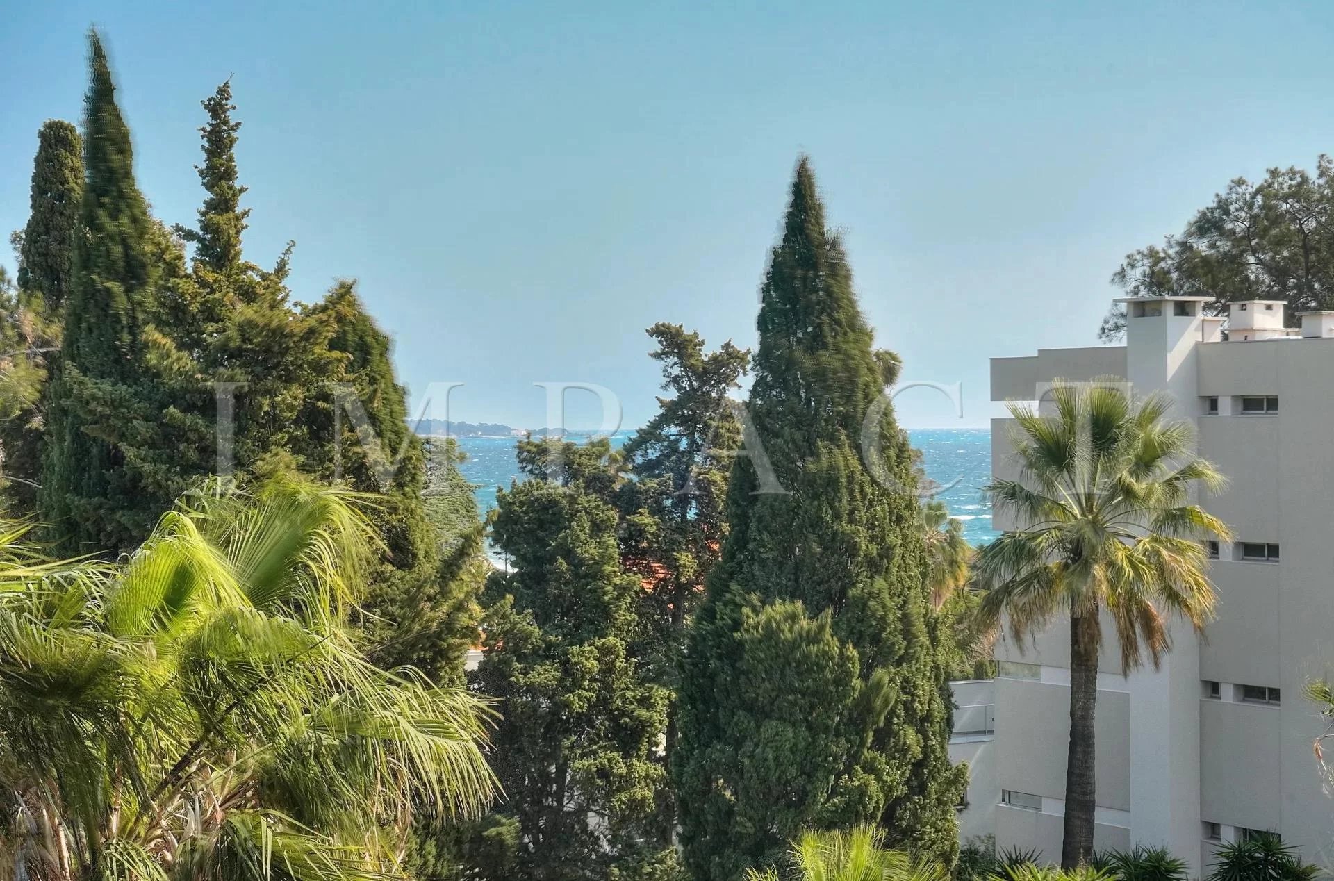 Cannes Basse Californie - Appartement rénové vue mer