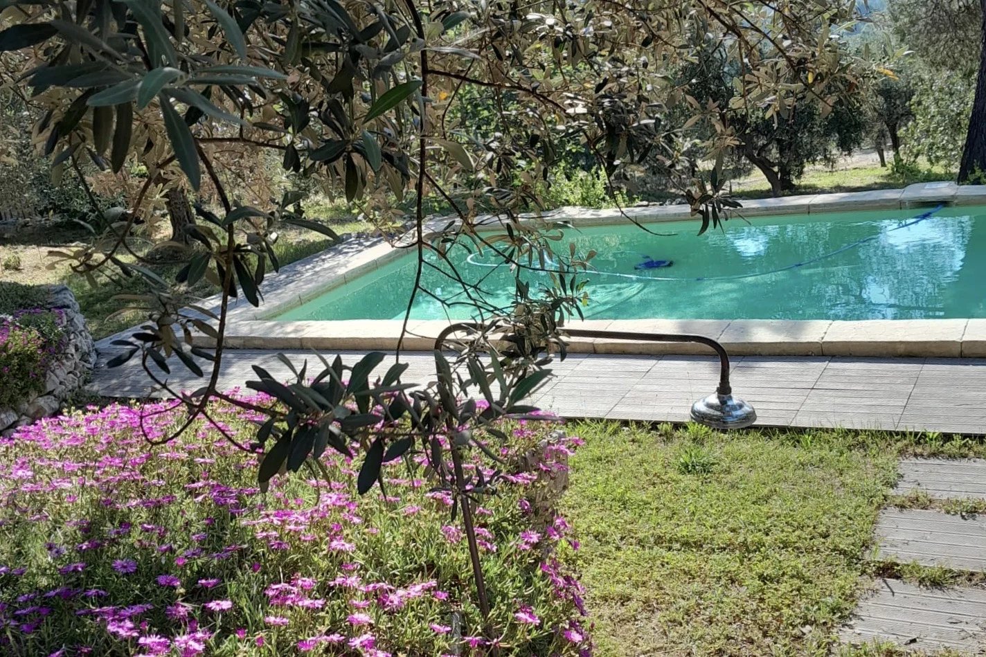 塞纳河畔圣塞泽尔庄园，全景，游泳池，橄榄树