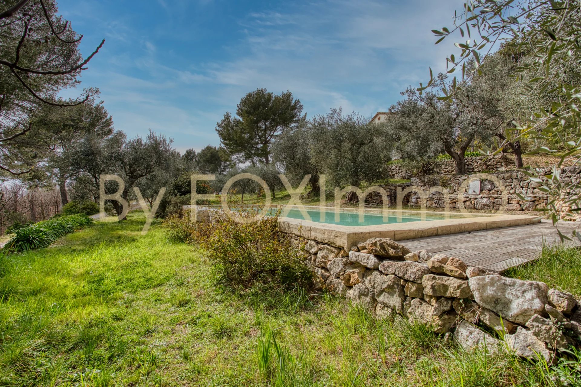 Costa Azzurra, vicino a Grasse e Cannes, magnifica villa, Bastide in assoluta pace e tranquillità, posizione dominante, vista panoramica, piscina, terreno di ulivi