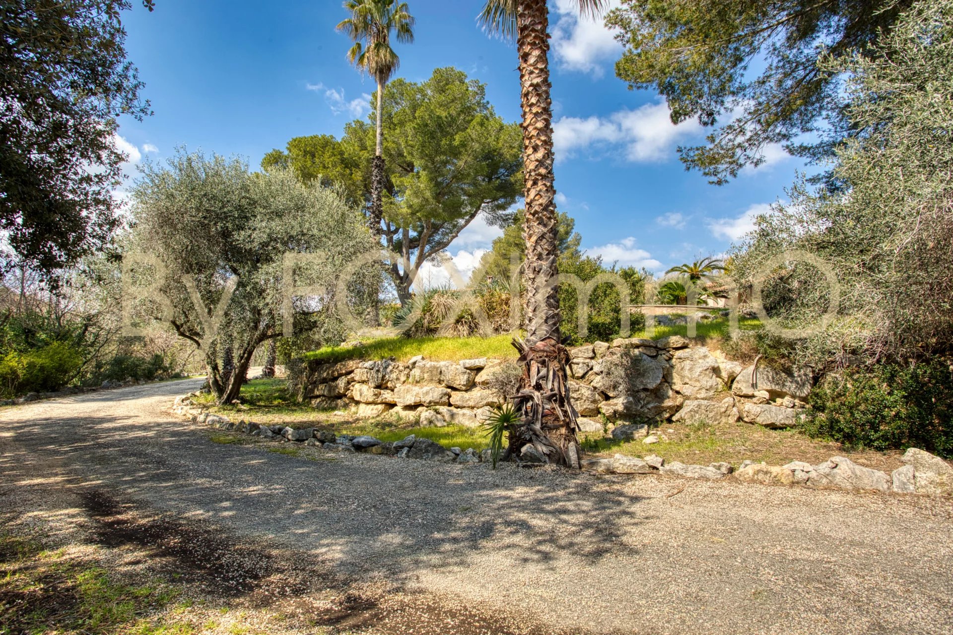 Sur la Côte d'Azur, au calme, grande propriété de plain pied, ,piscine, terrasses, parking, garage, position dominante