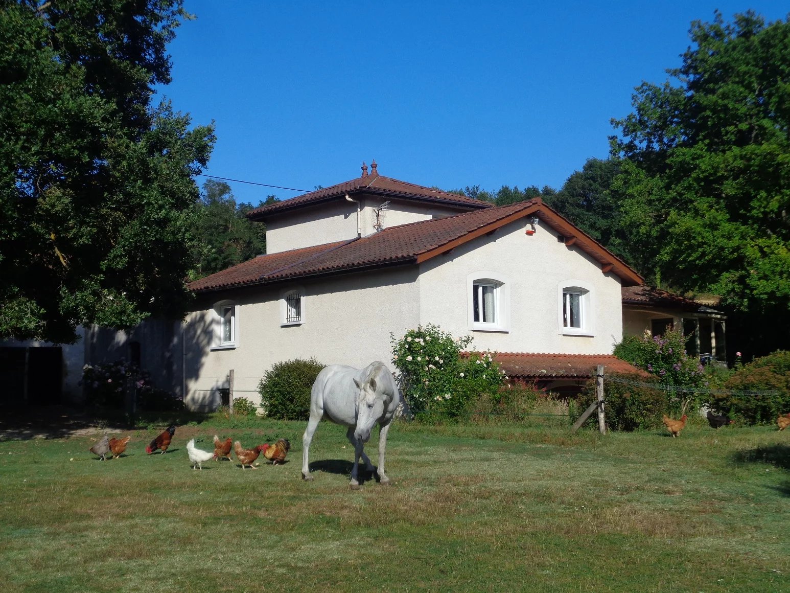 ESTRABLIN, Villa T6 de 146m² sur sous-sol complet avec boxes à chevaux et un terrain de 15 878m²