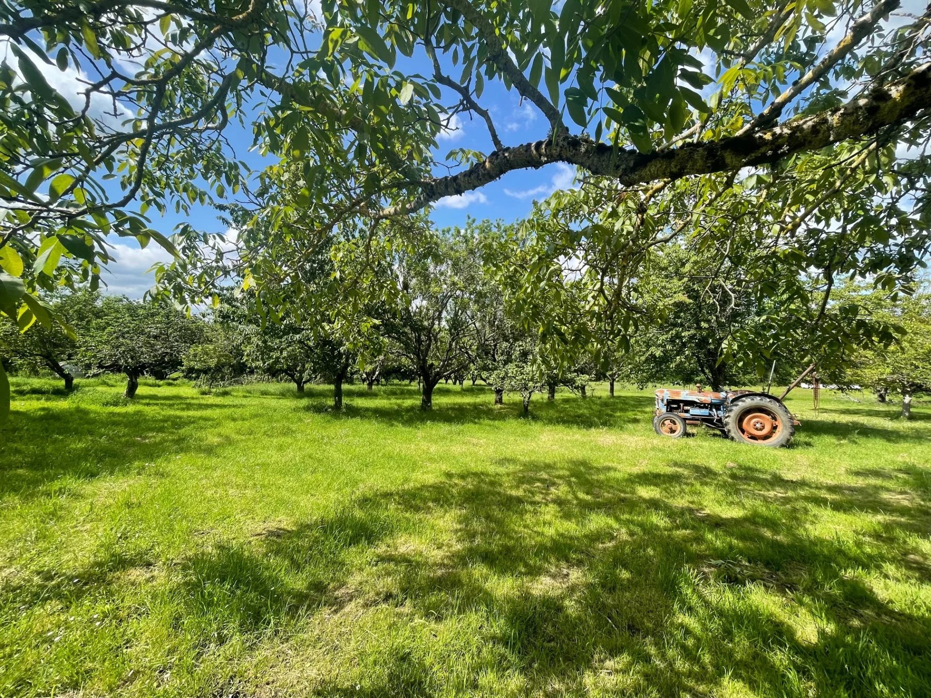 Venta Terreno urbanizable - Gragnague