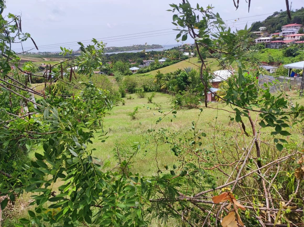 Sale Plot of land - Le Vauclin - Martinique