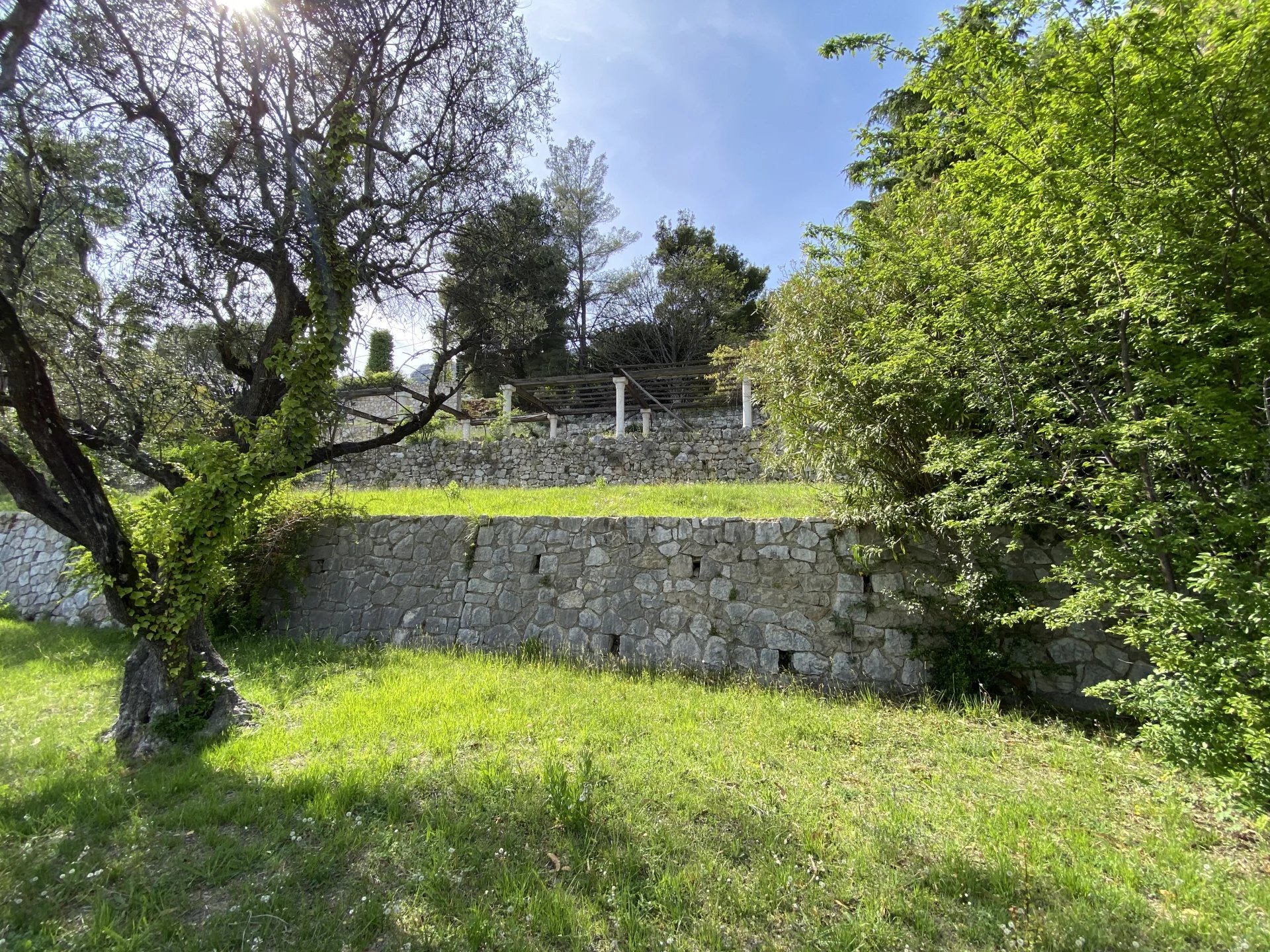 For sale on the French Riviera - Vence - Beautiful Land 3000m2 - Panoramic Sea View