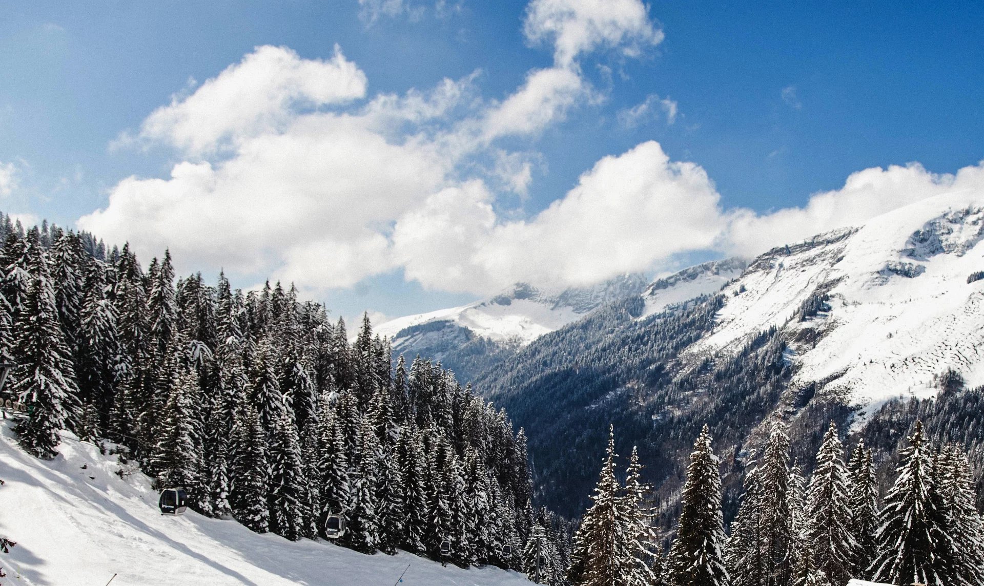 PORTE DU SOLEIL - MURS ET FONDS D'UN RESTAURANT D'ALTITUDE SKI AU PIEDS