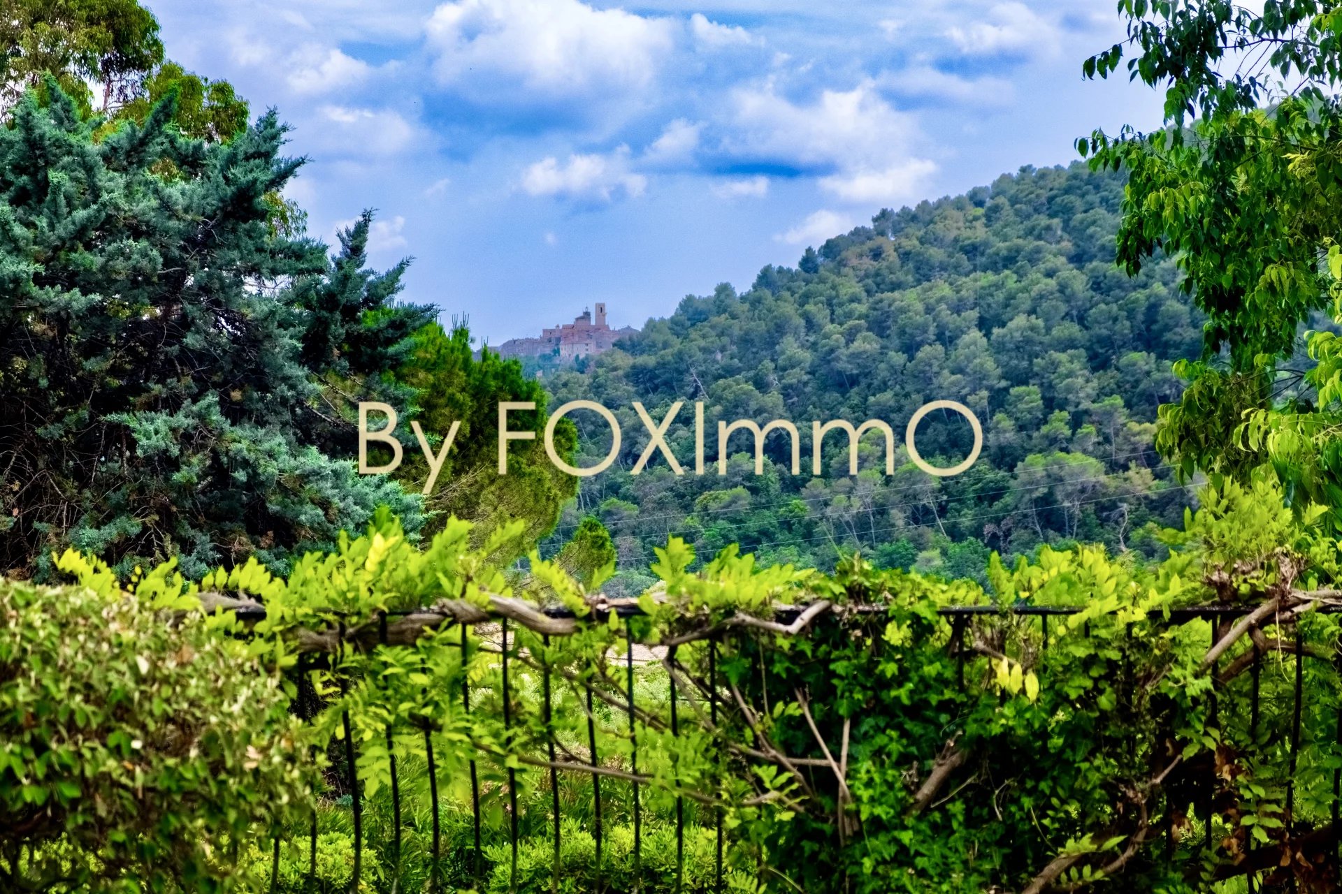 Agence immobilière de Foximmo