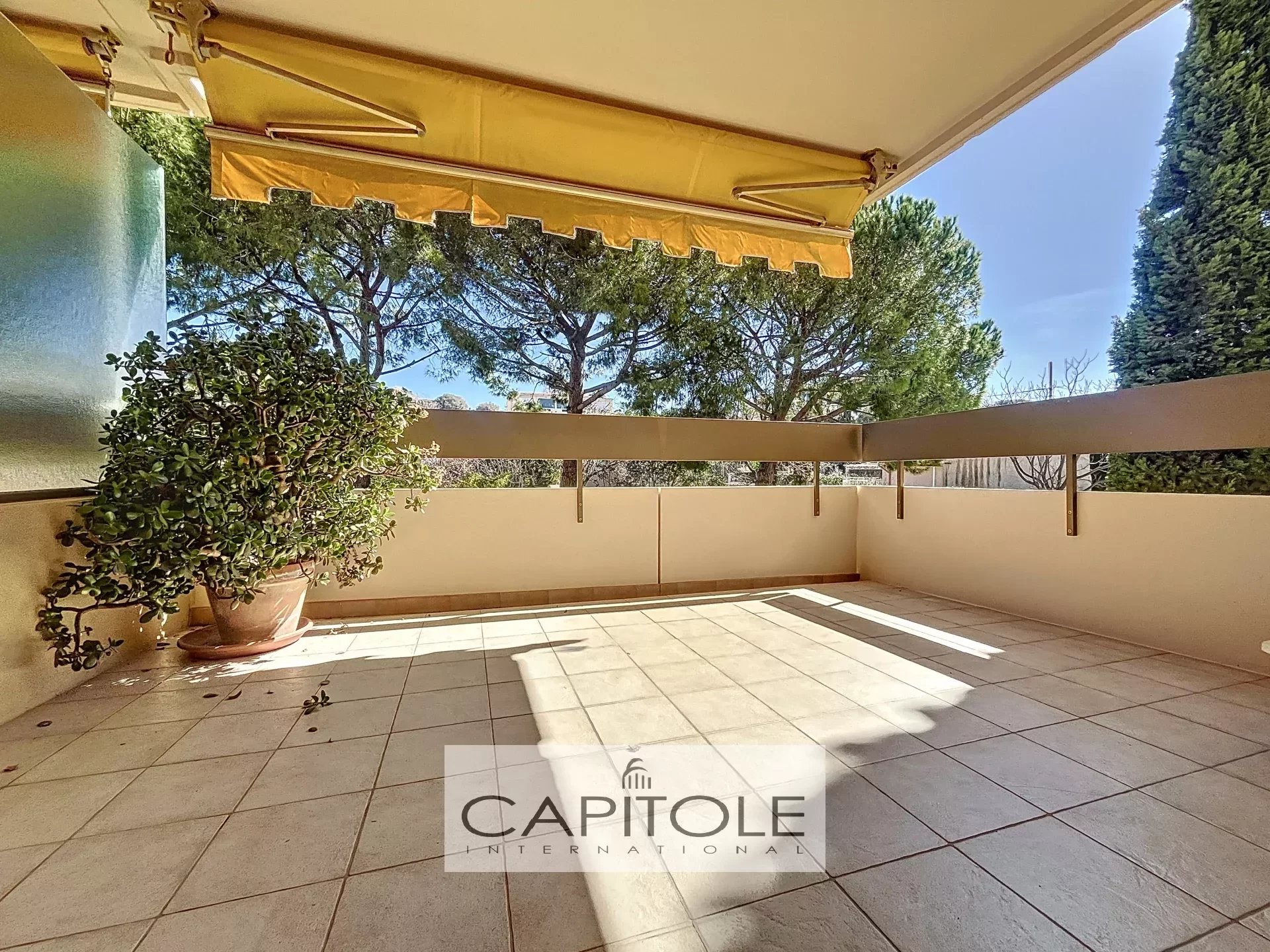 FOR SALE, near Cap d'Antibes, 2-bedroom apartment, swimming pool, spacious terraces, not overlooked, garage, cellar
