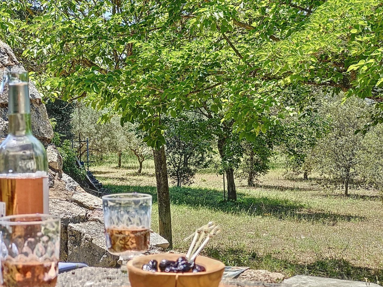 Unique opportunity in Cotignac: authentic property among the vineyards!