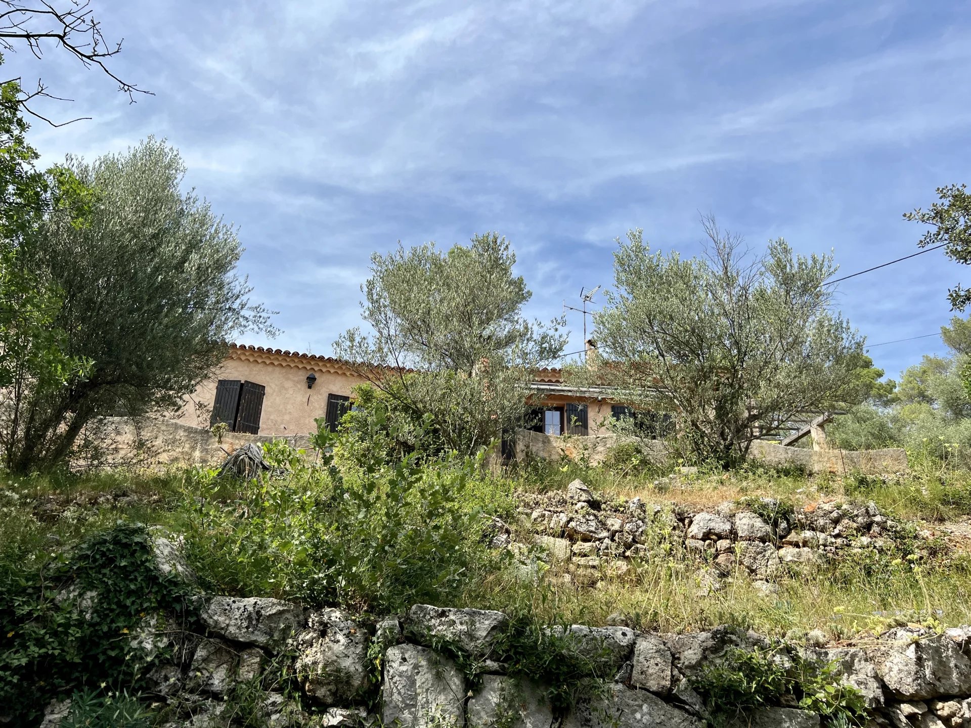 Panoramic view, quiet are, walking distance from the village