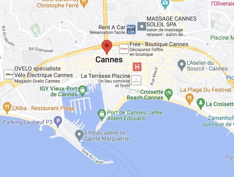 Vente appartement Cannes Banane