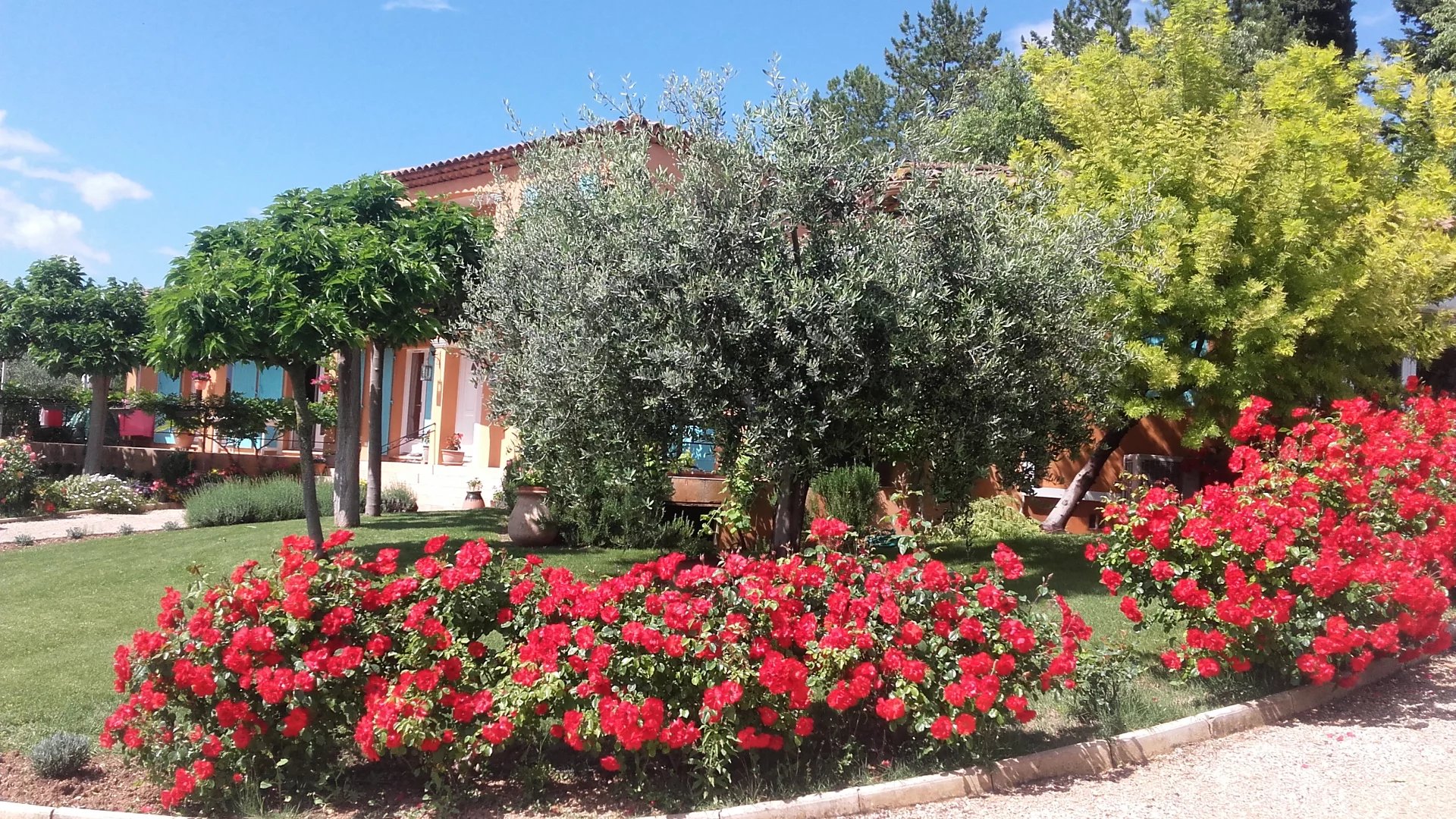 PROVENCALE STYLE VILLA AMONG OLIVE GROVES
