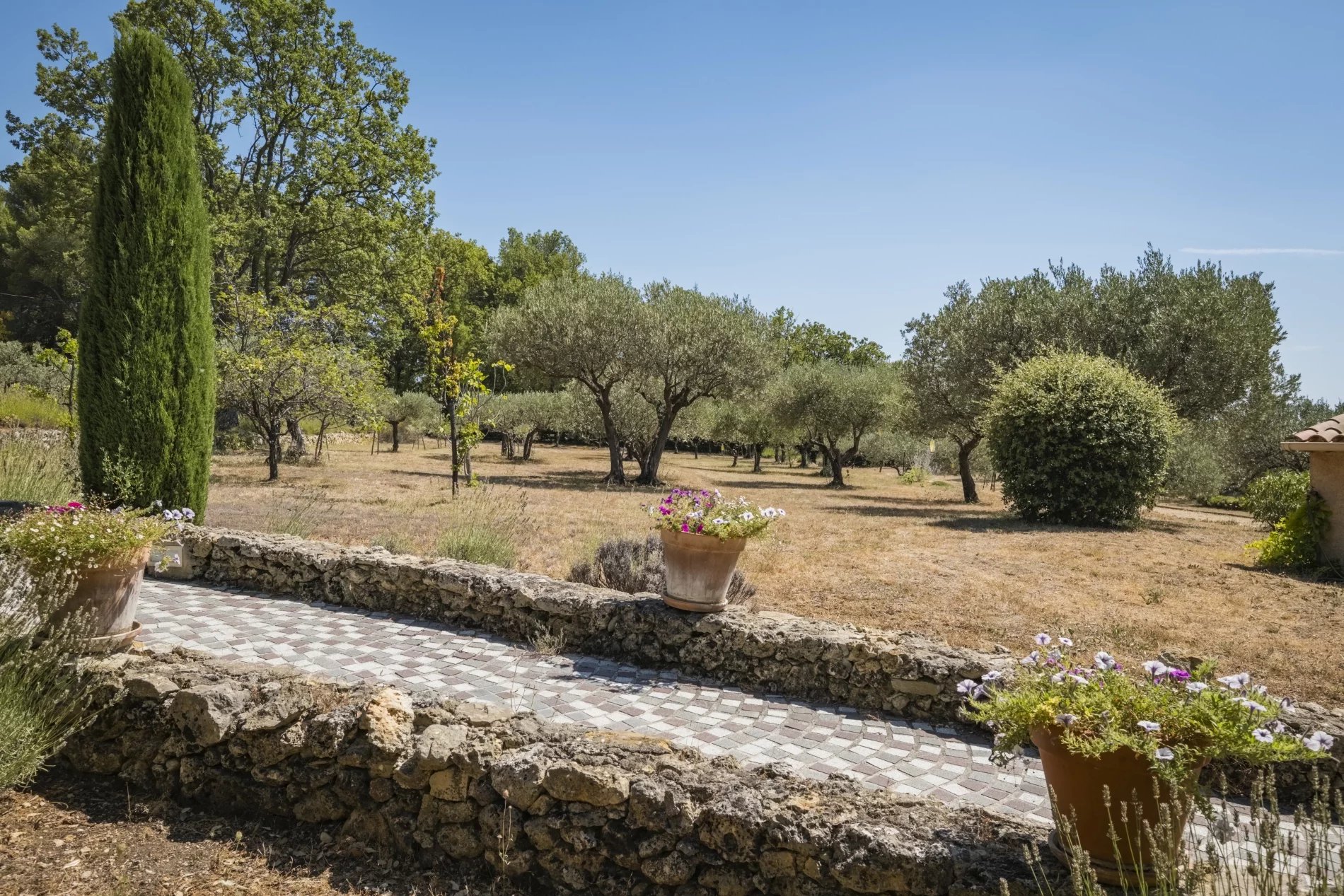 Beautiful getaway in the middle of Provence in walking distance of the most beautiful village in France: Tourtour!
