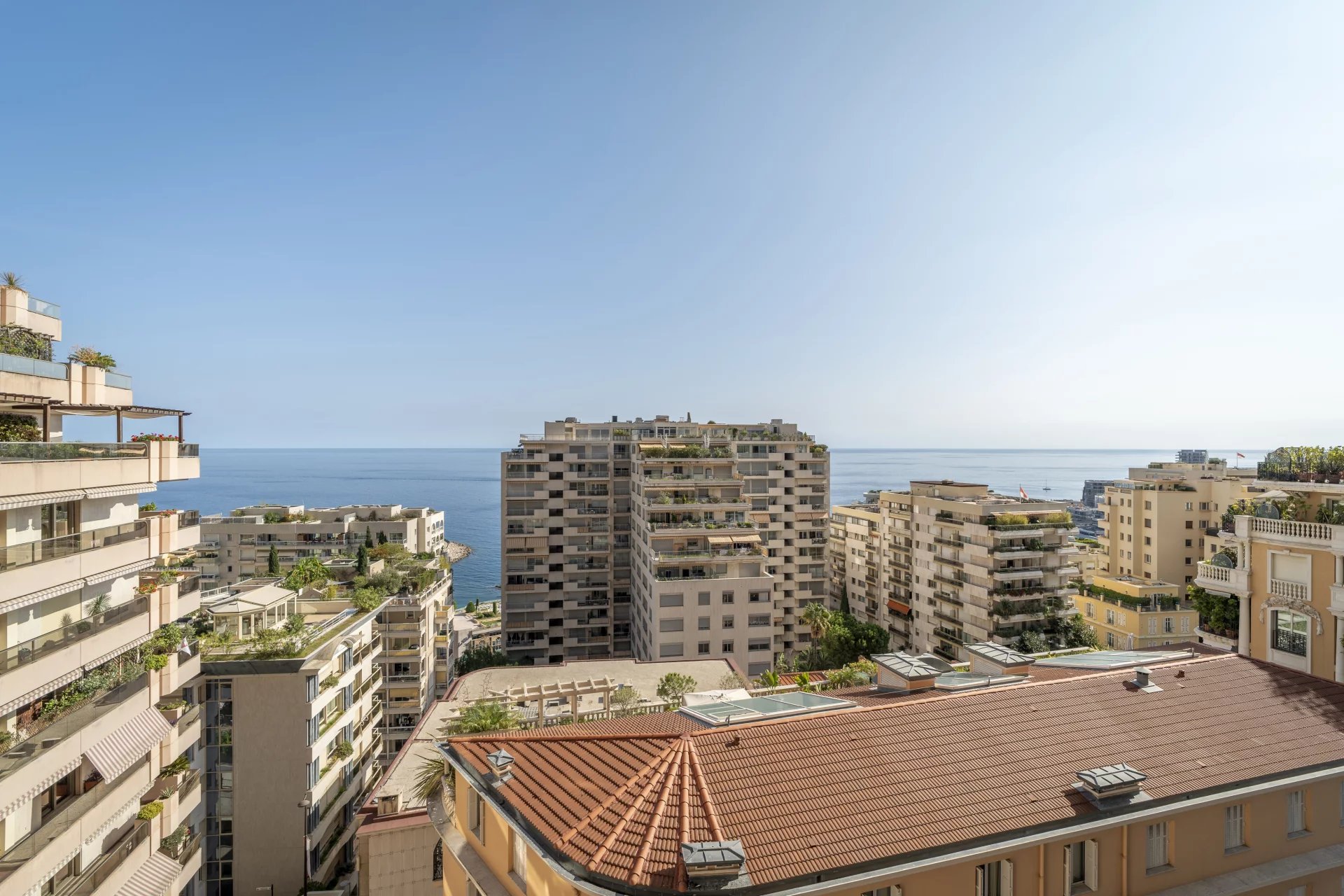 Sale Apartment Monaco La Rousse