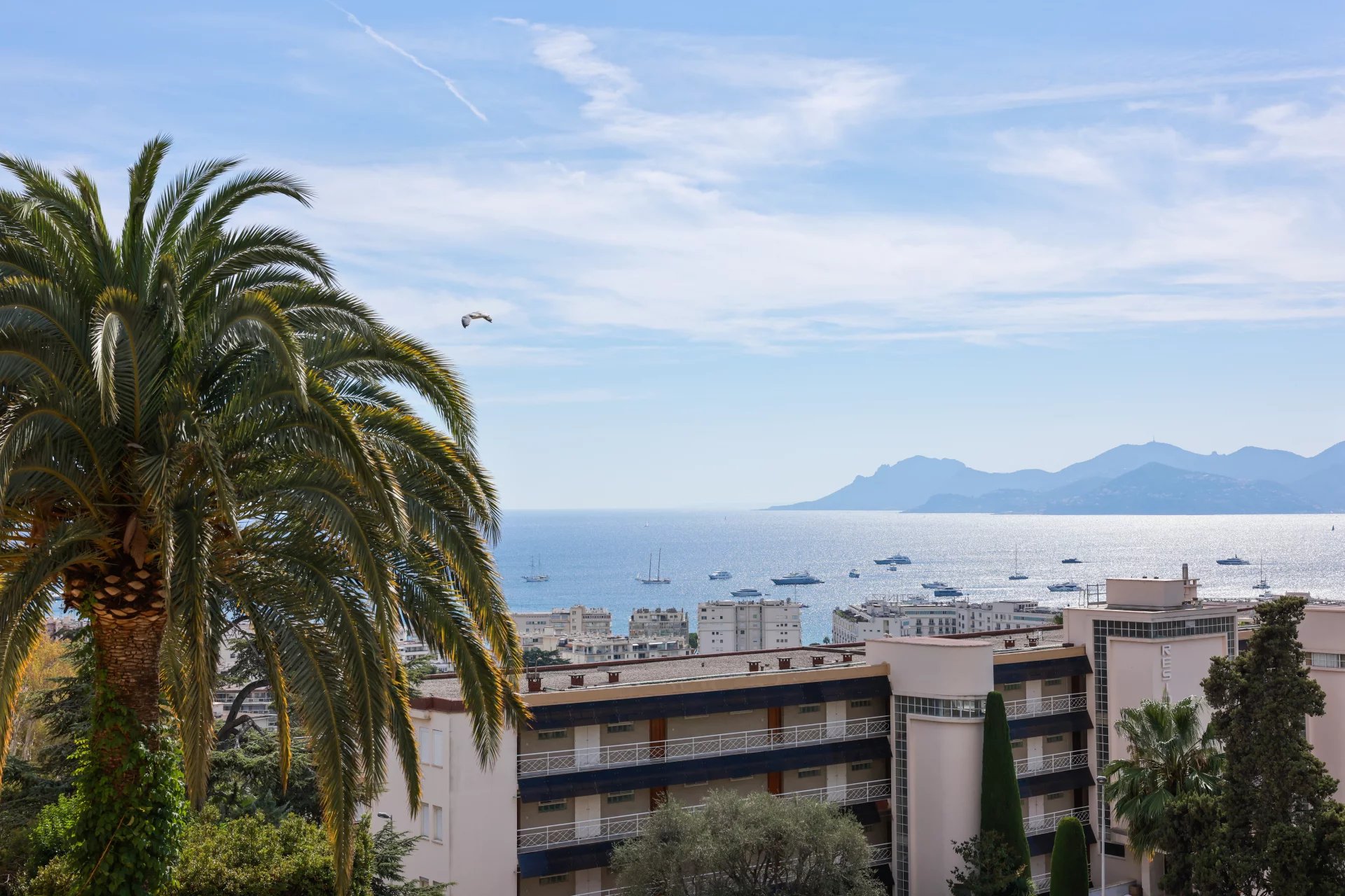 APPARTEMENT 4P - CANNES STANDING