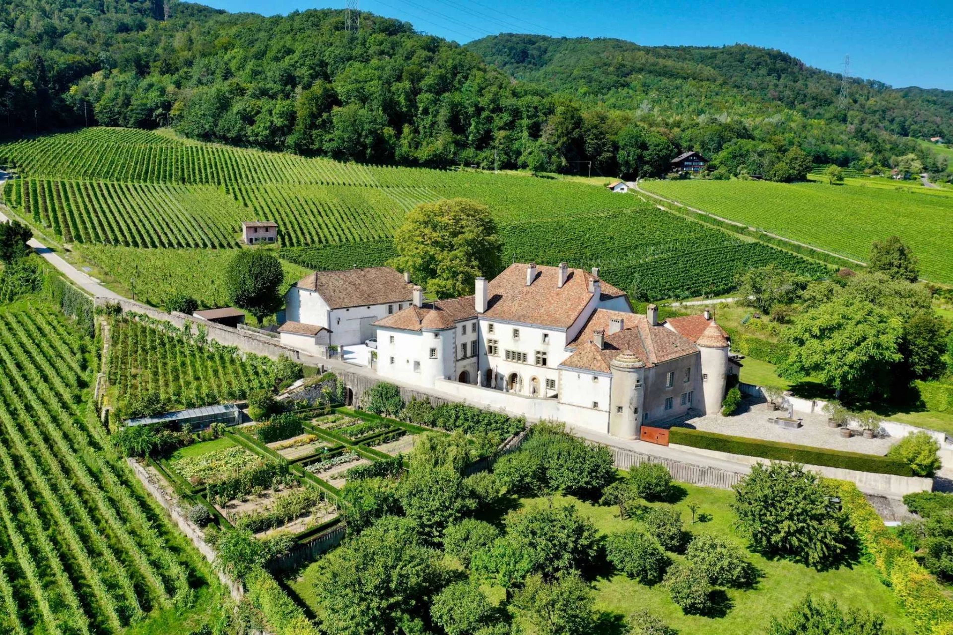 Sumptuous 13th century château with vineyard