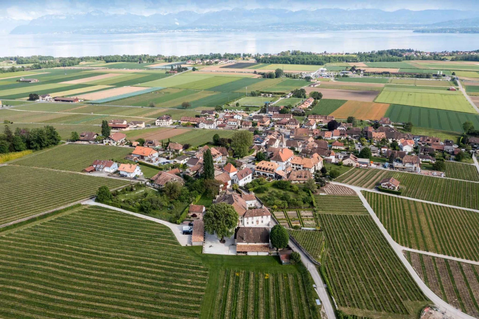 Sumptuous 13th century château with vineyard