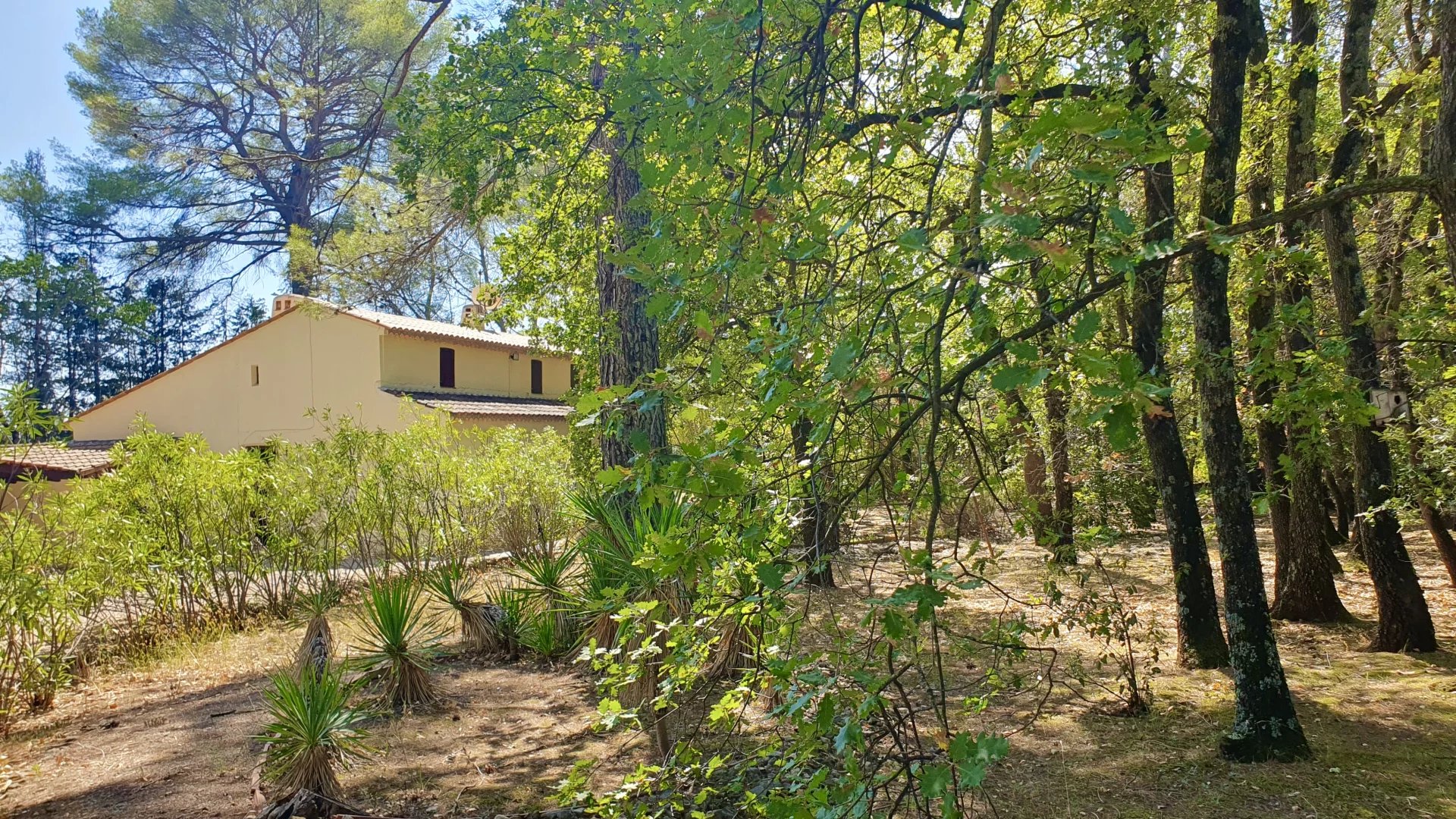 Villa with pool to be renovated in Figanieres.