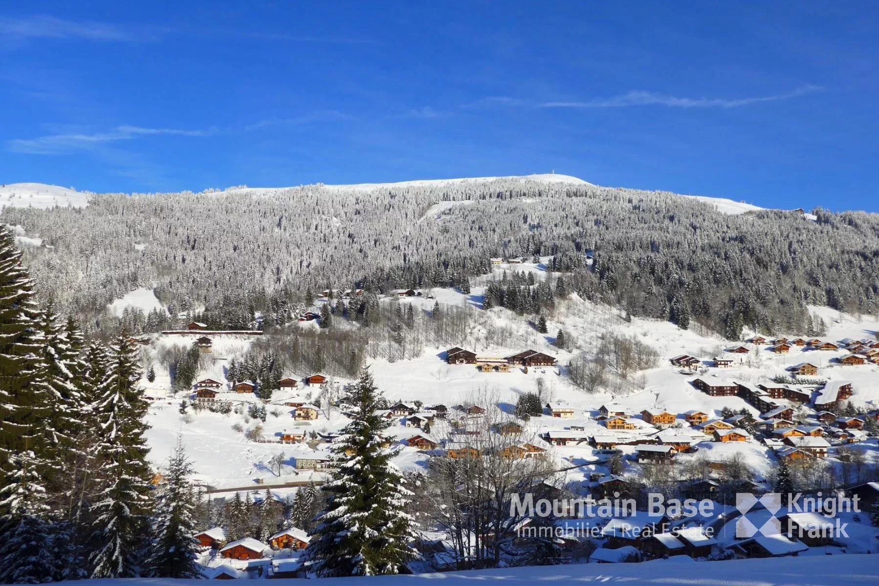 Photo of Charming 3 bedroom chalet with basement storage