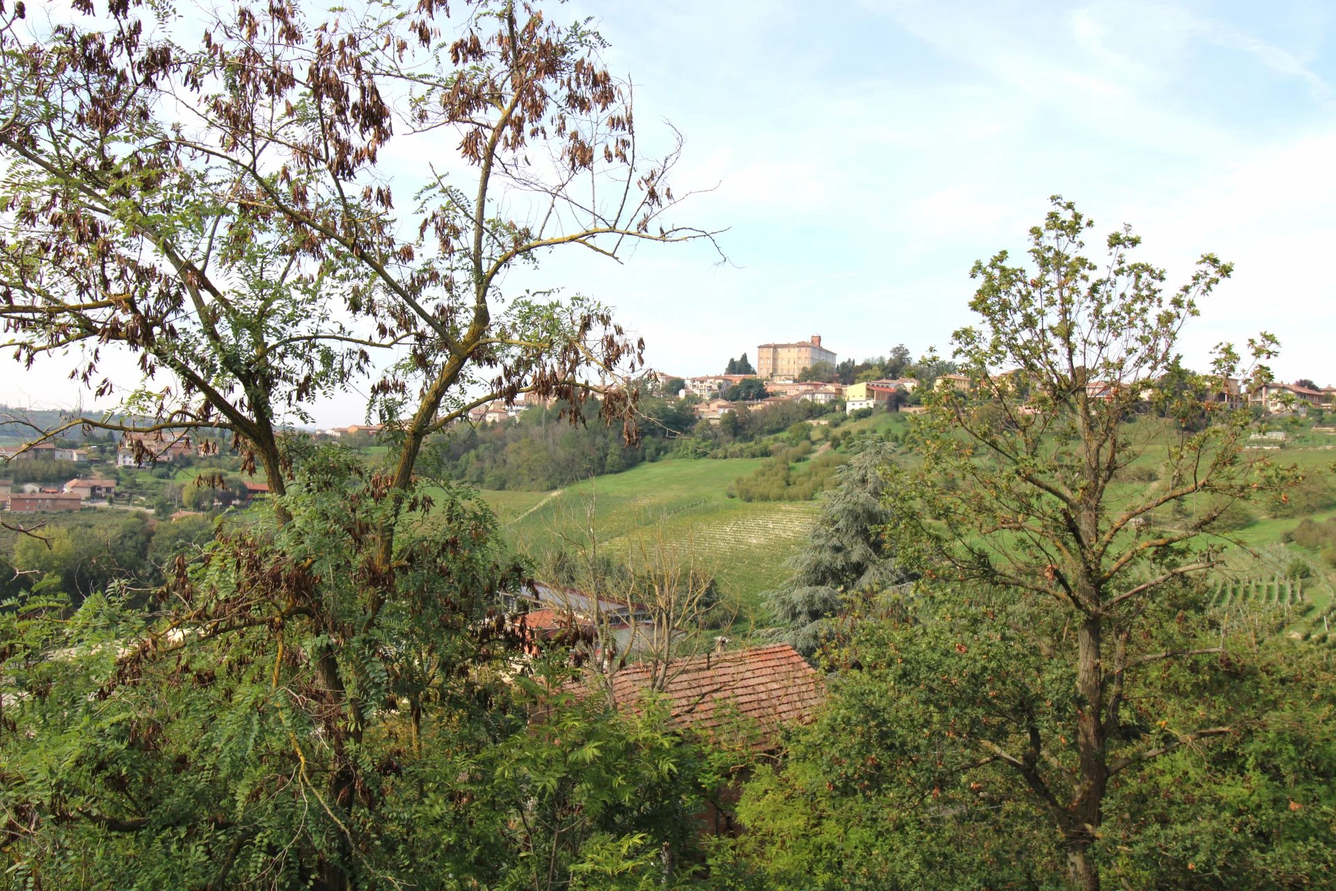 Casa Indipendente con Vista Panoramica su Castello di Govone