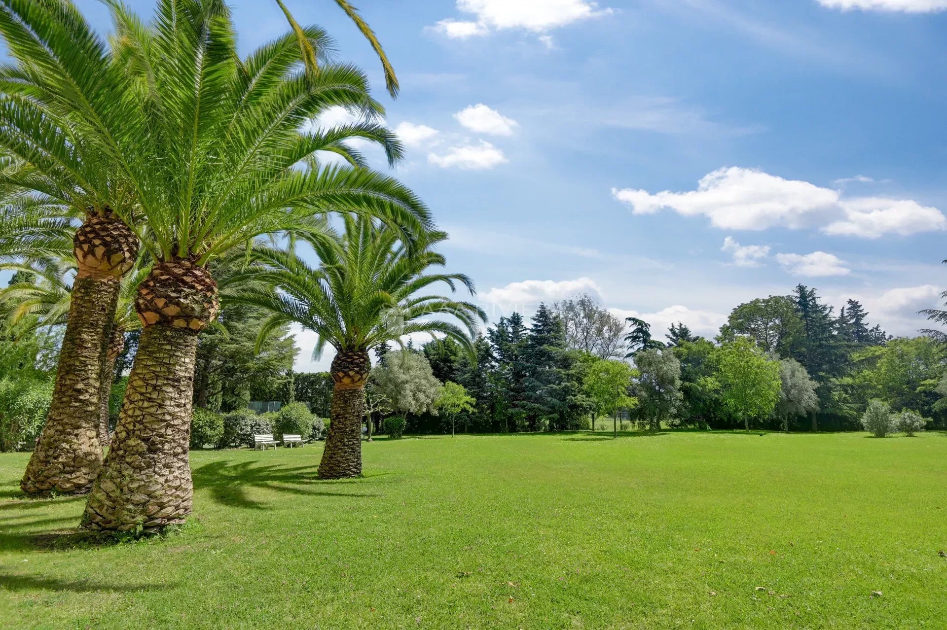 EXCLUSIVITE - Mandelieu - Rez-de-jardin - beau 3/4P , terrasses et jardin dans résidence avec piscine, tennis et gardien