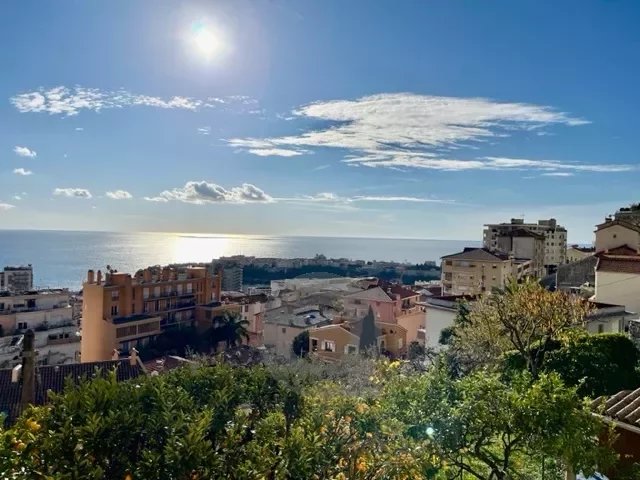 EXCLU 3 pièces en cours de rénovation vue mer Monaco