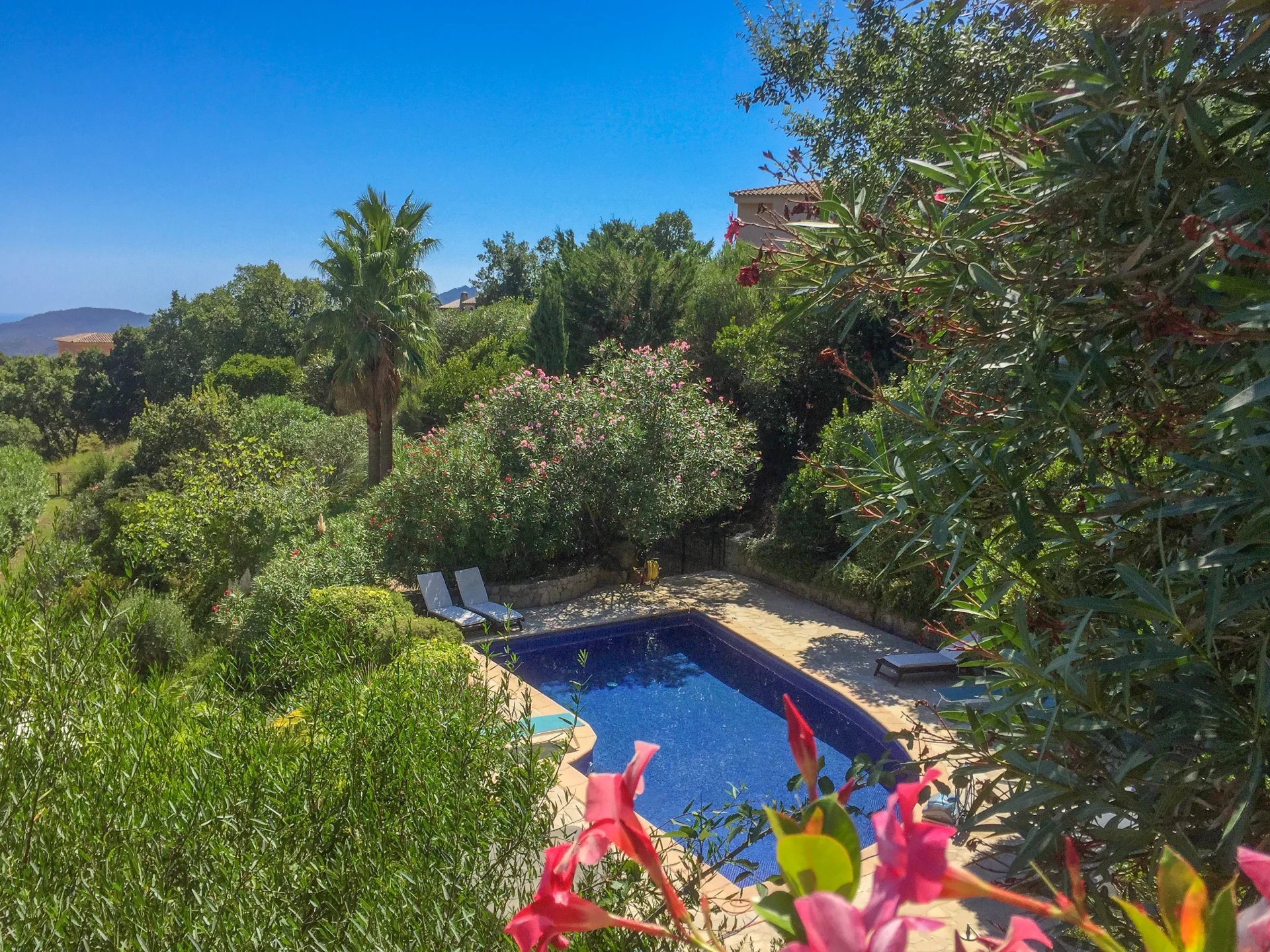 Luxueuse Villa avec Vue Imprenable sur la Baie de Cannes