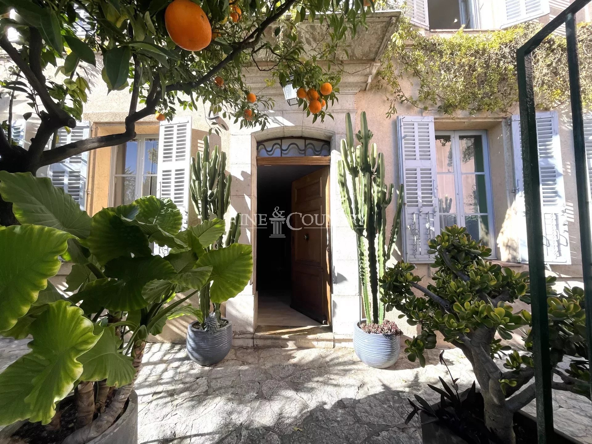 Charming apartment , Grasse, Garden and Sea View Accommodation in Cannes
